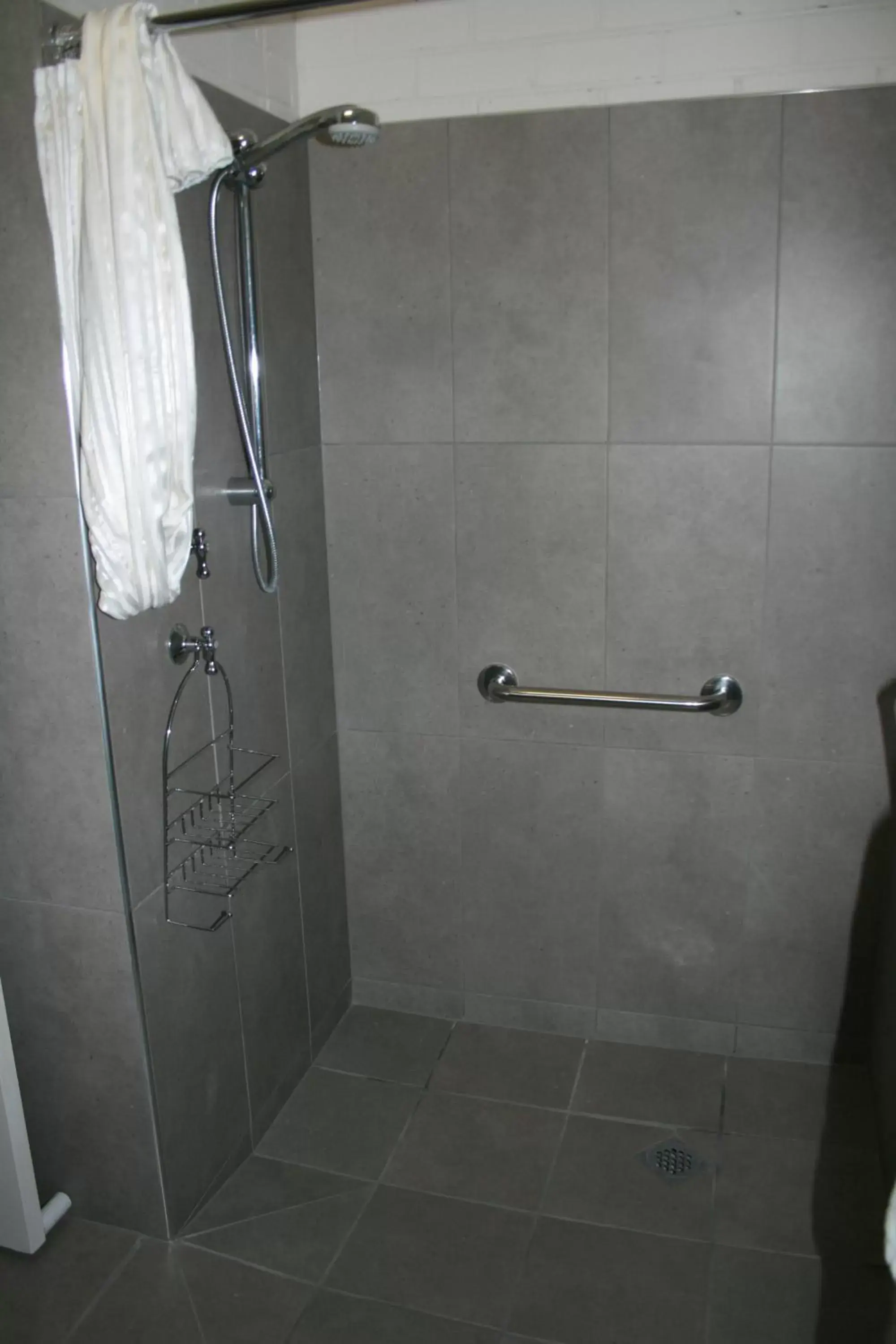 Shower, Bathroom in The Plains Motor Inn