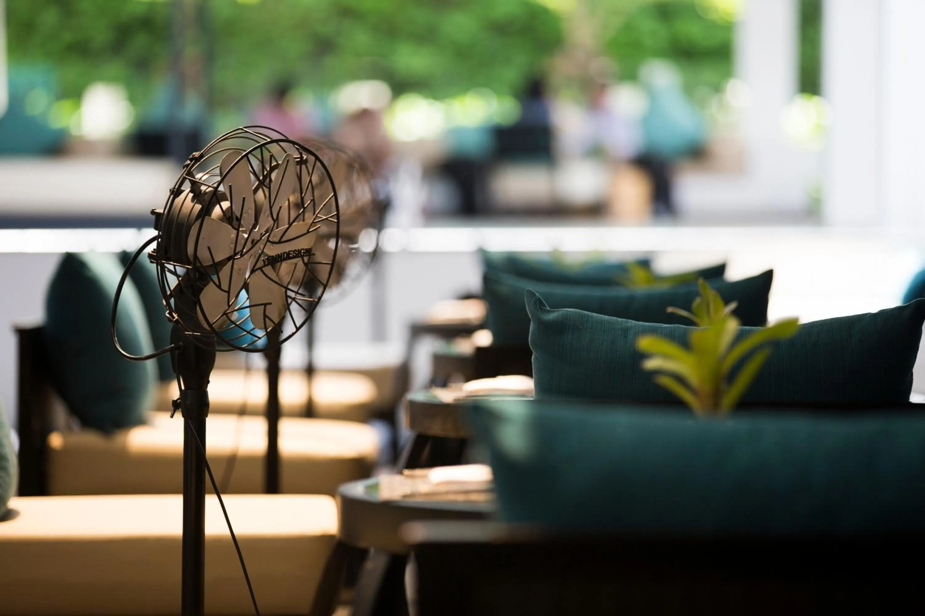 Restaurant/places to eat in Nap Patong