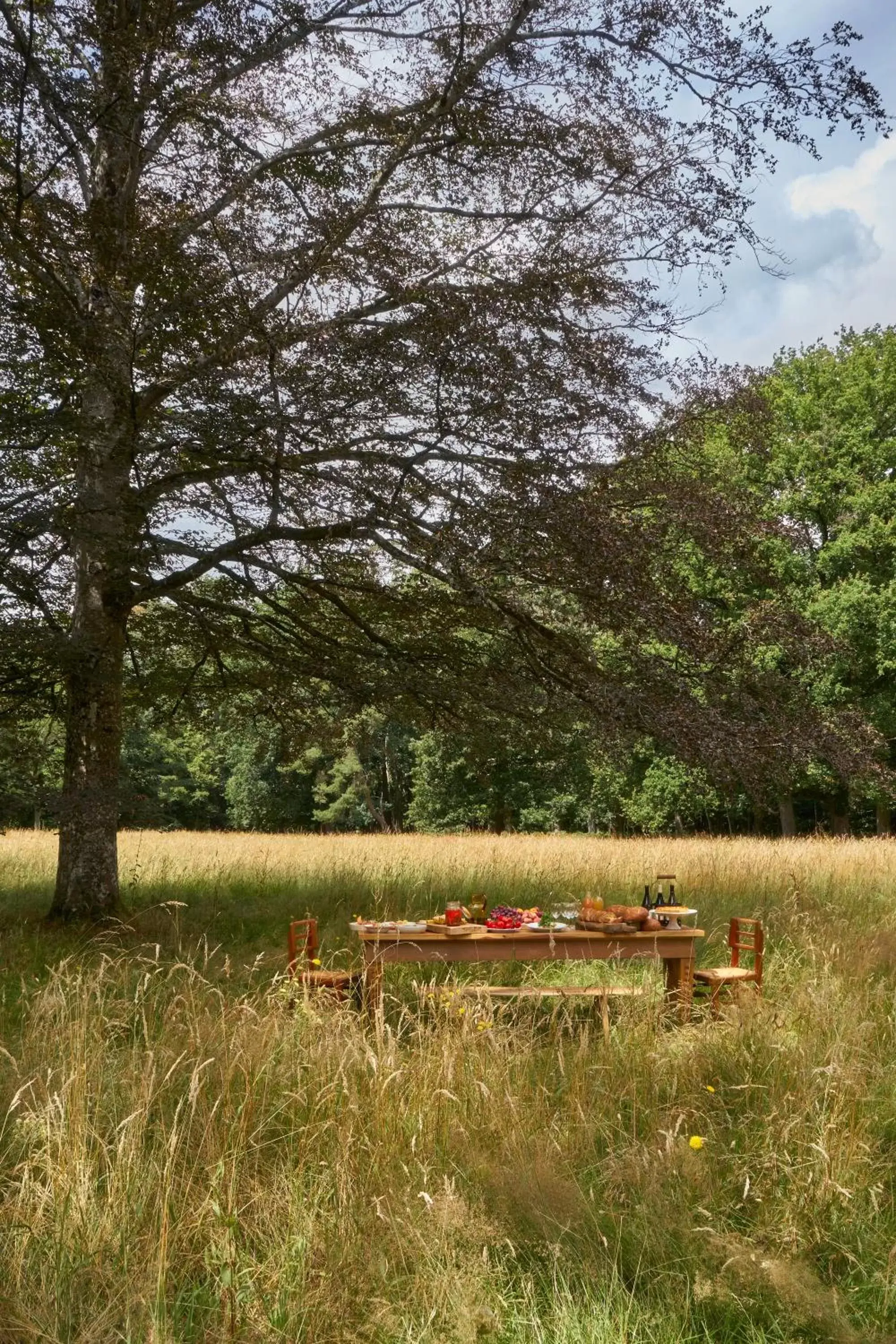 Natural Landscape in Les Sources de Cheverny