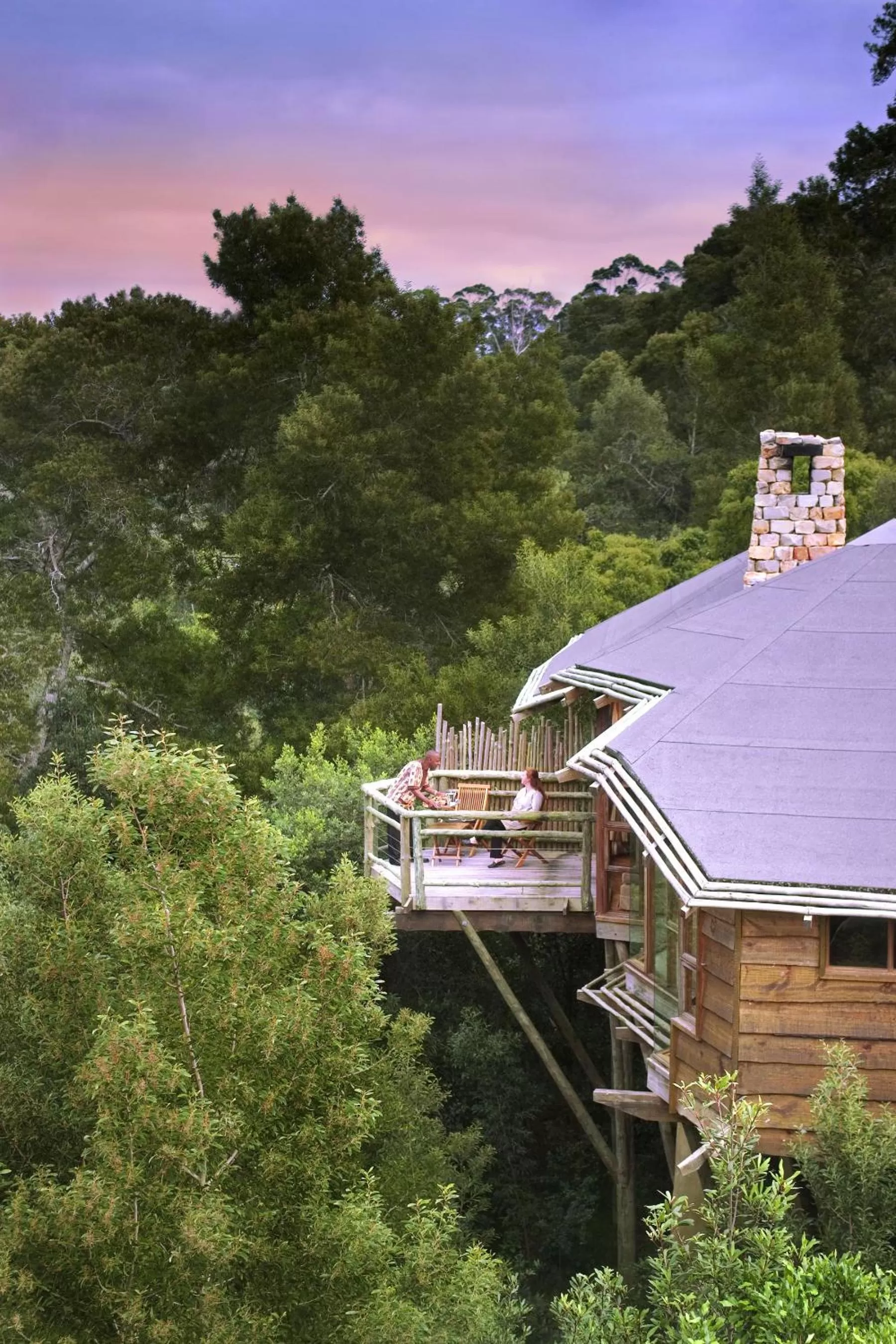 Bird's eye view in Tsala Treetop Lodge