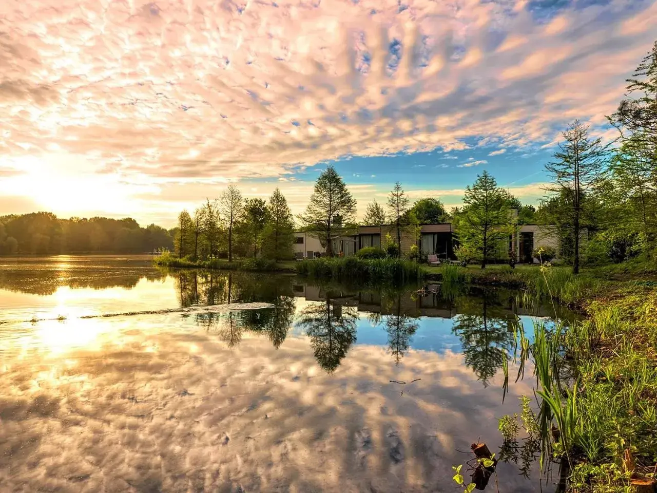 View (from property/room), Property Building in Hotel Het Heijderbos by Center Parcs