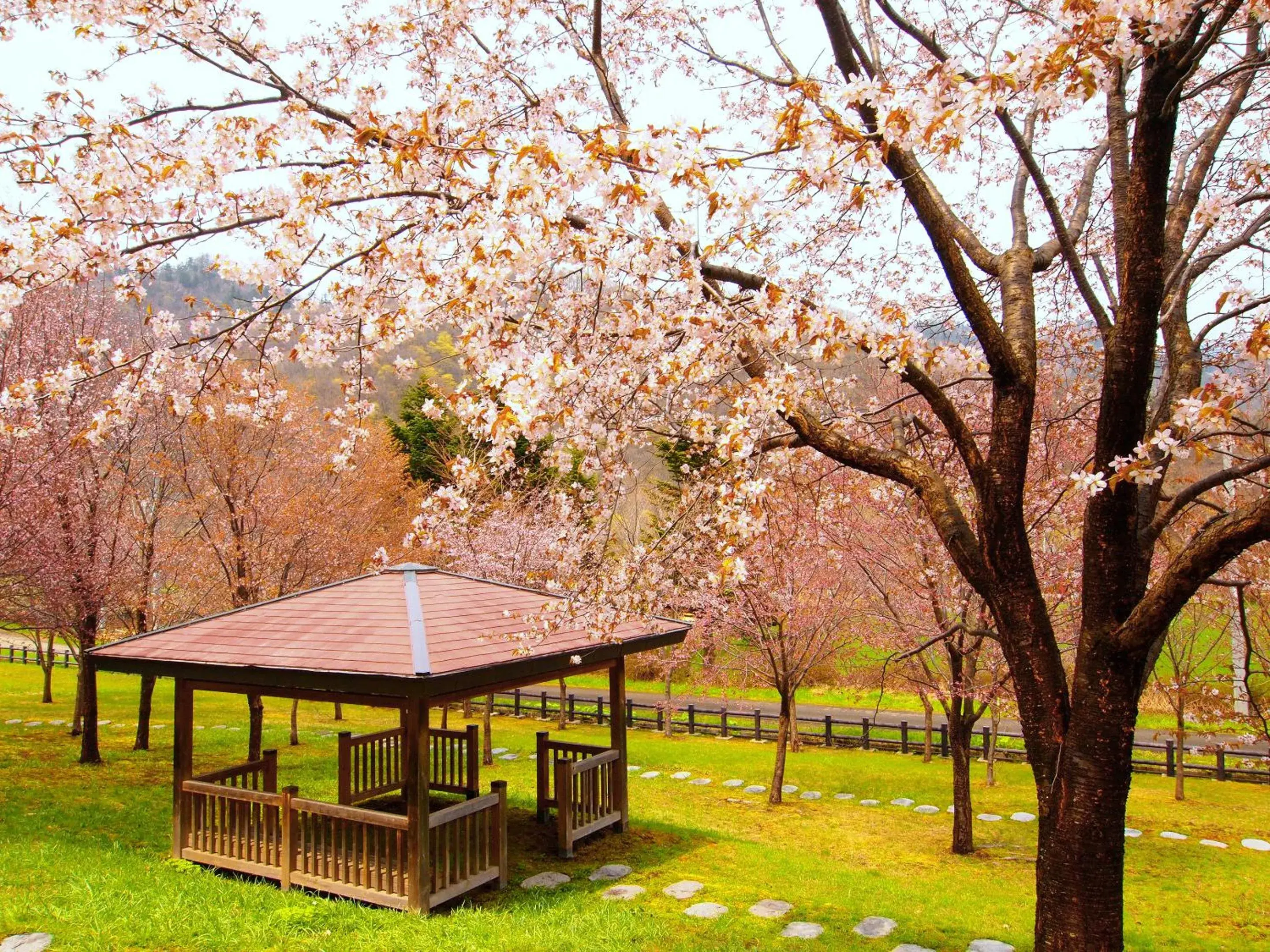 Natural landscape in Jozankei View Hotel