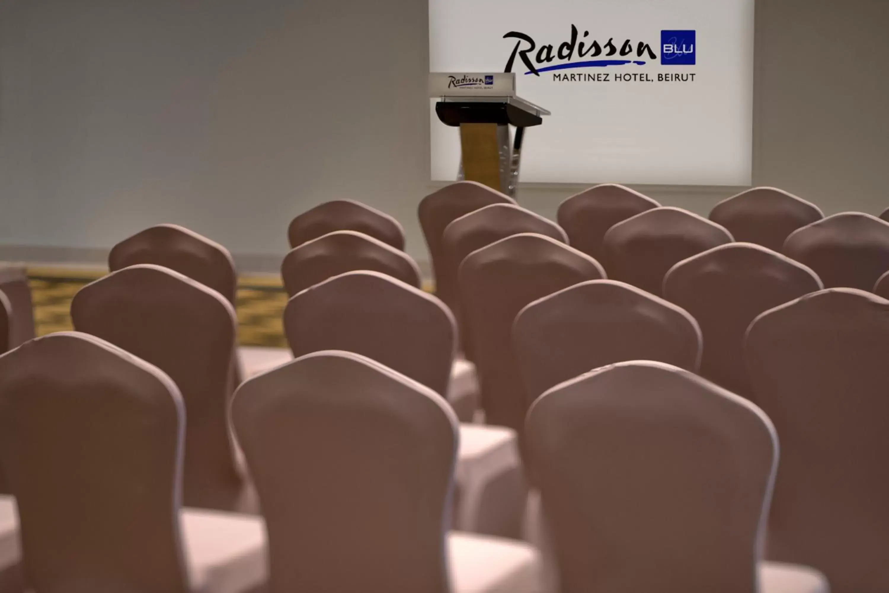 Business facilities in Radisson Blu Martinez Beirut