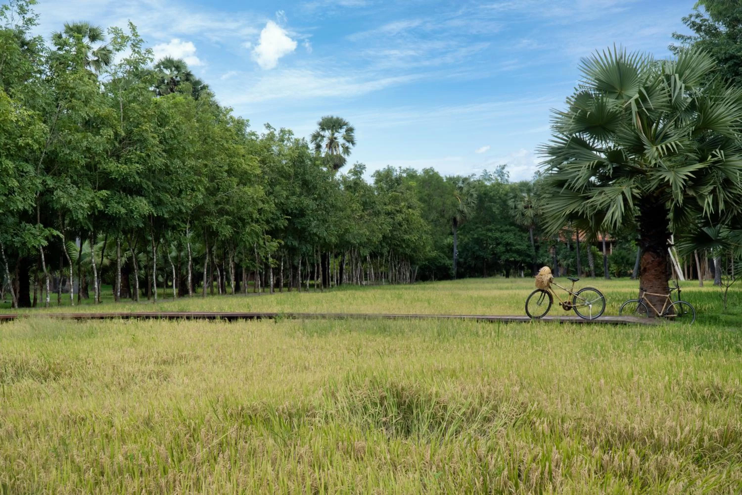 Garden in Mane Family Vacation