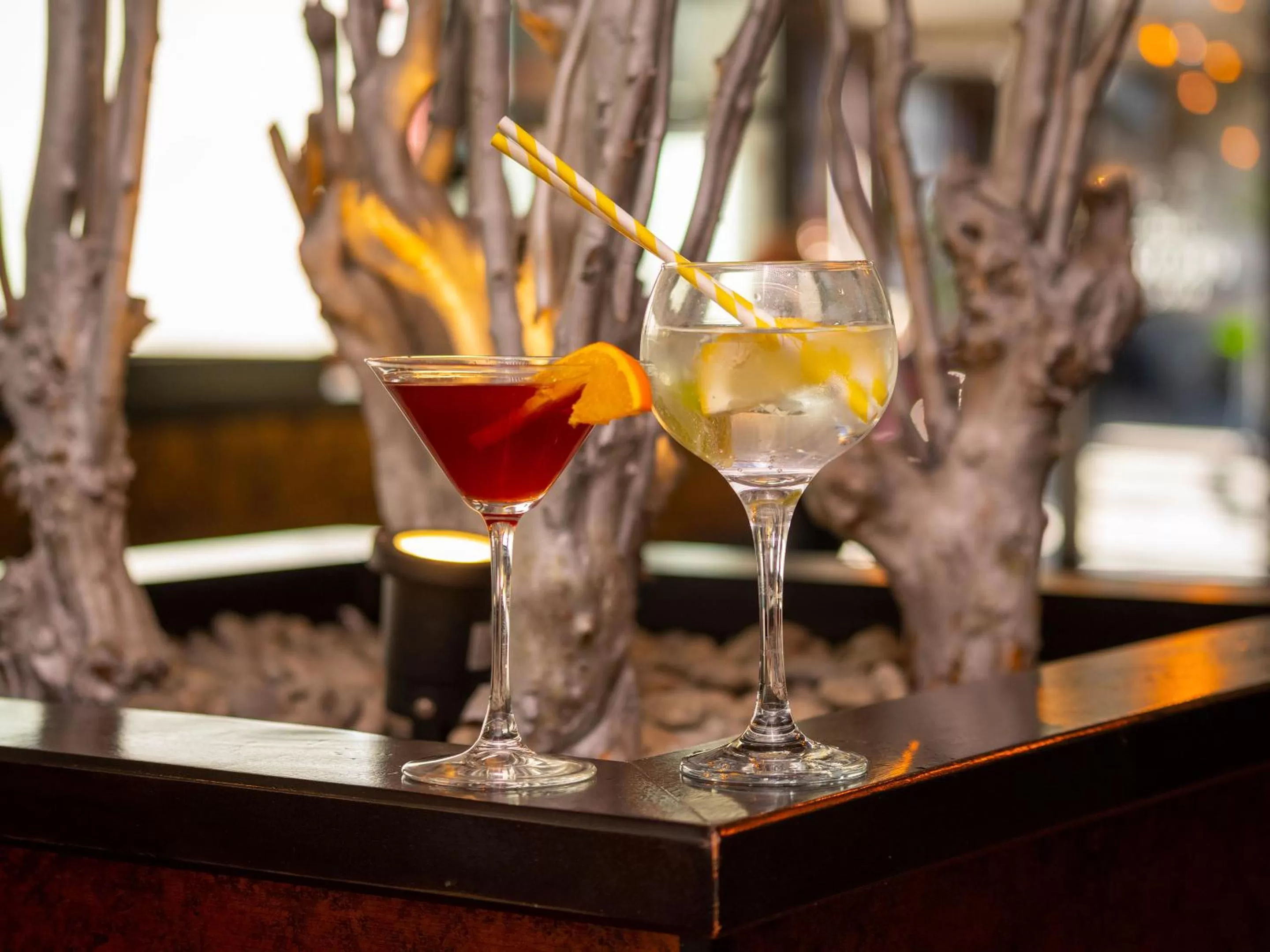 Alcoholic drinks in Riverside Park Hotel