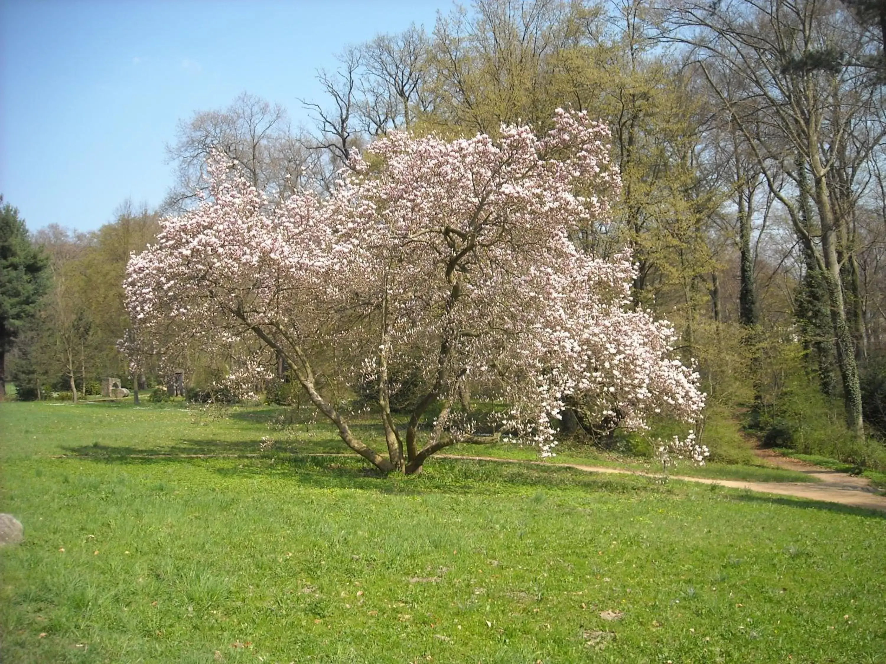 Natural landscape, Garden in Hotel Schloss Eckberg