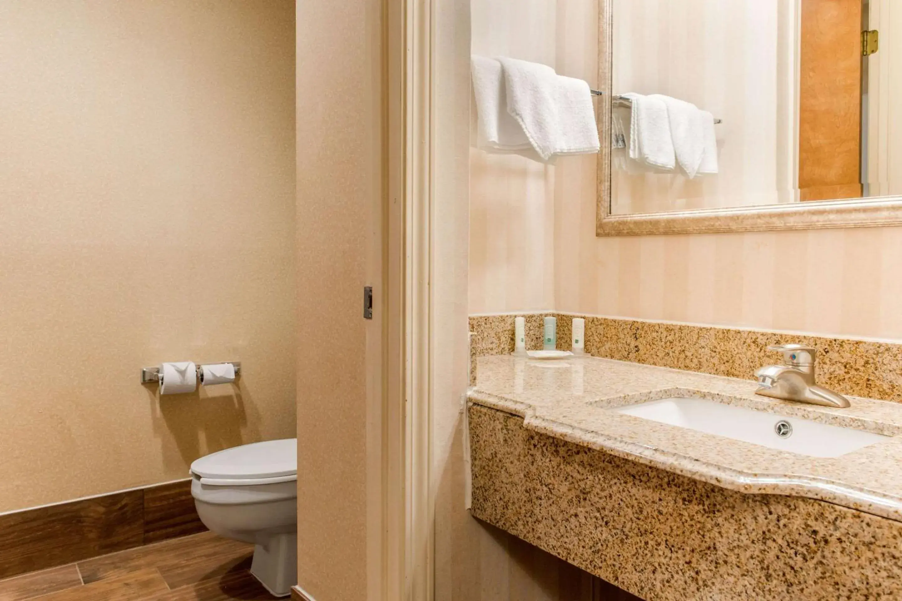 Bathroom in Quality Inn & Suites Miamisburg - Dayton South