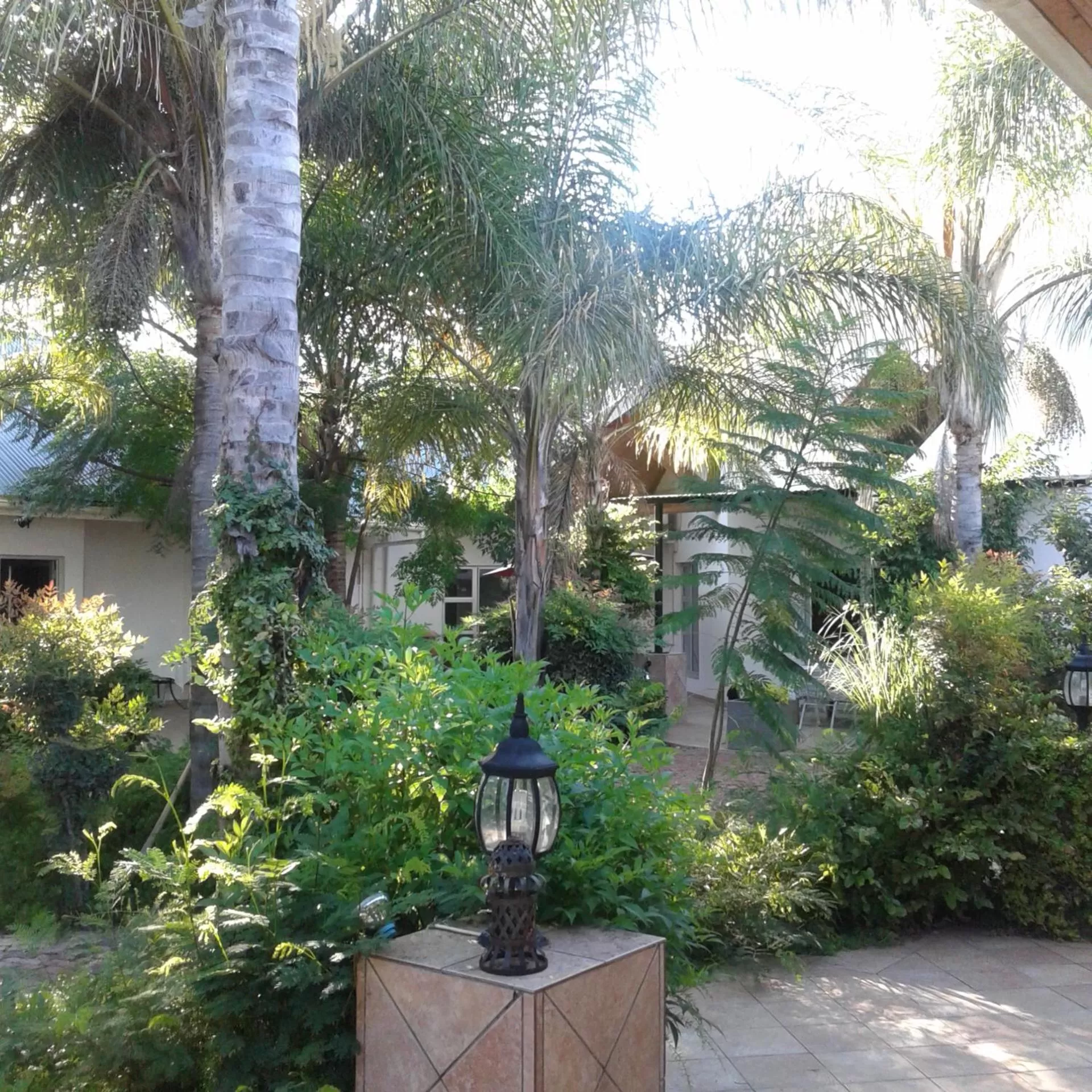 Garden in Out of Africa Town Lodge