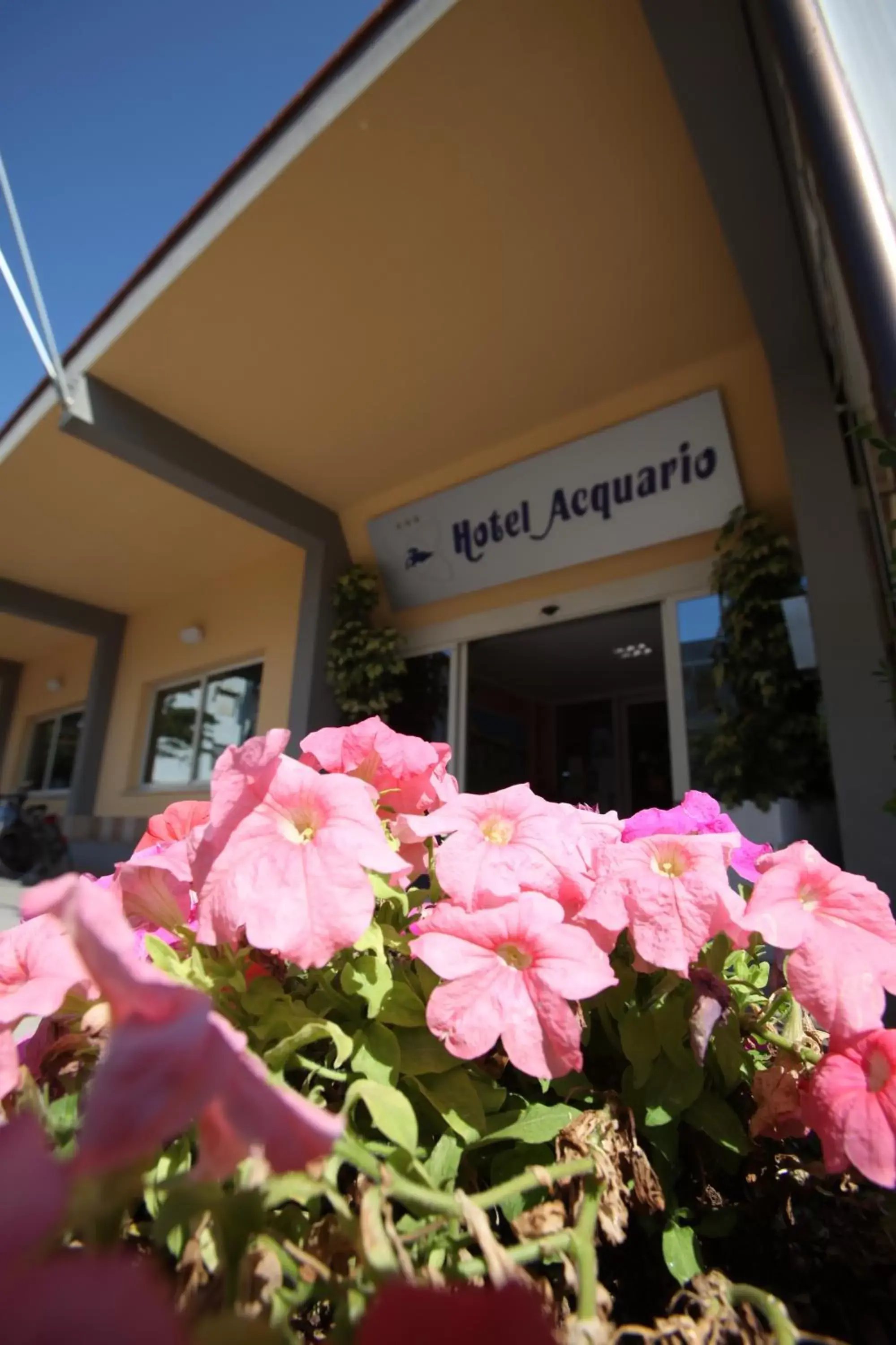 Facade/entrance in Hotel Acquario