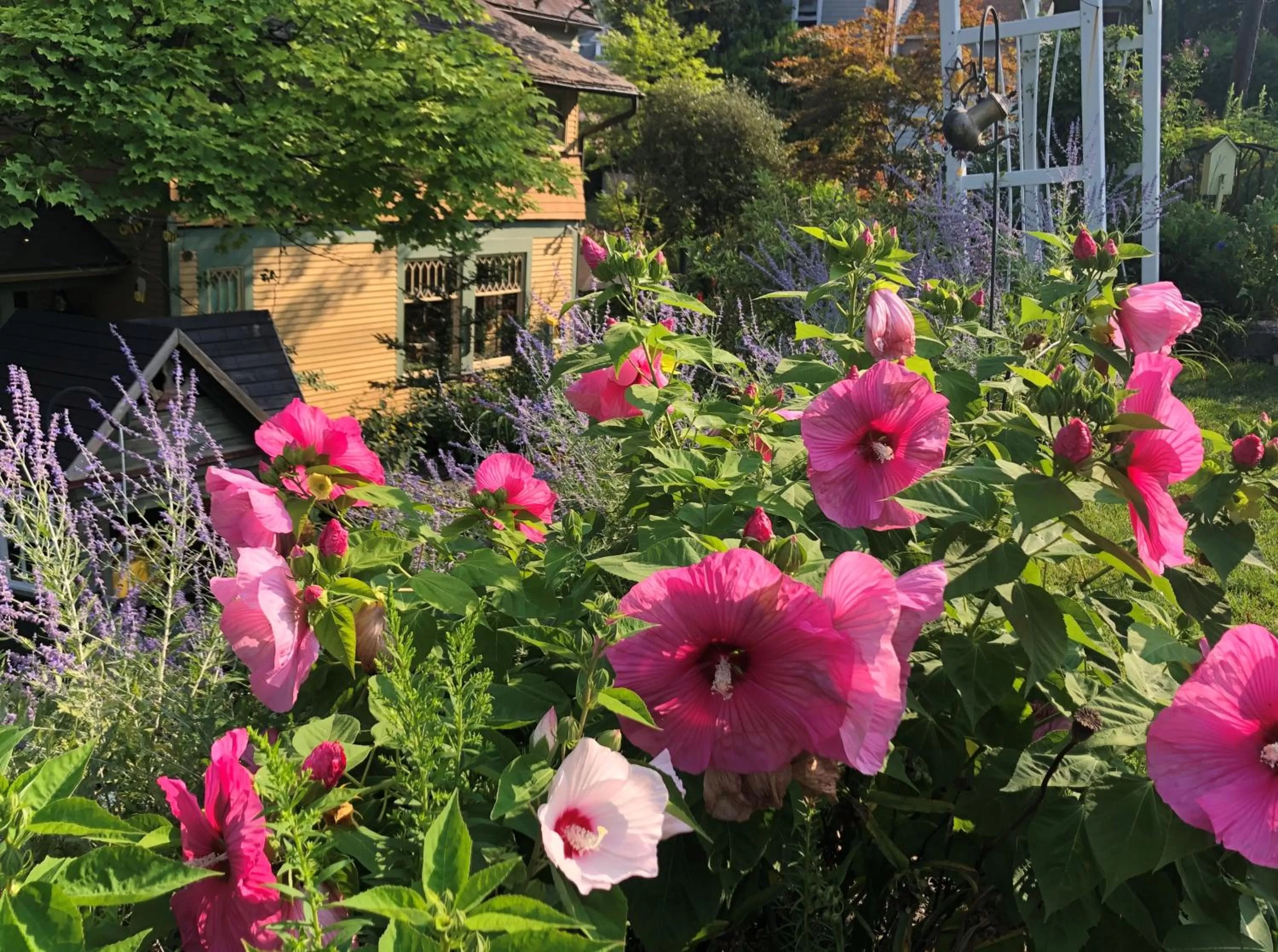 Spring in The Queen, A Victorian Bed & Breakfast