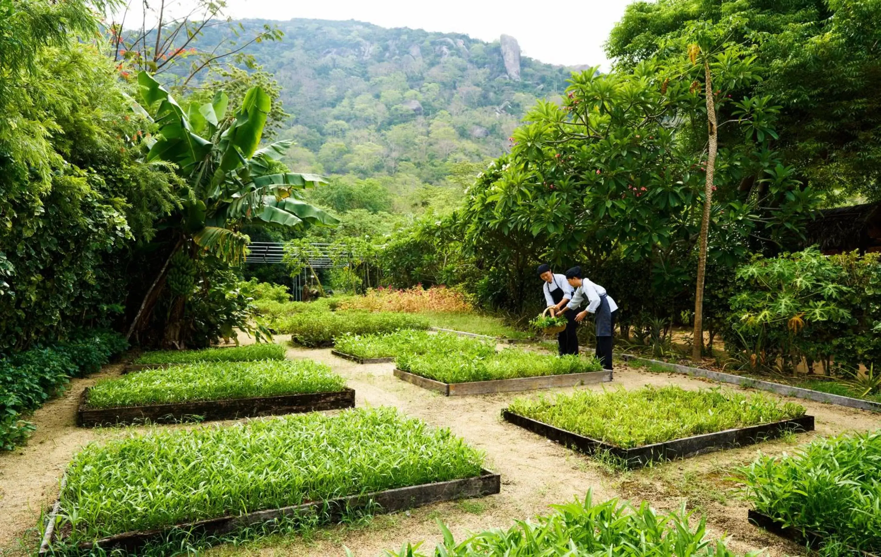 Activities in Six Senses Ninh Van Bay