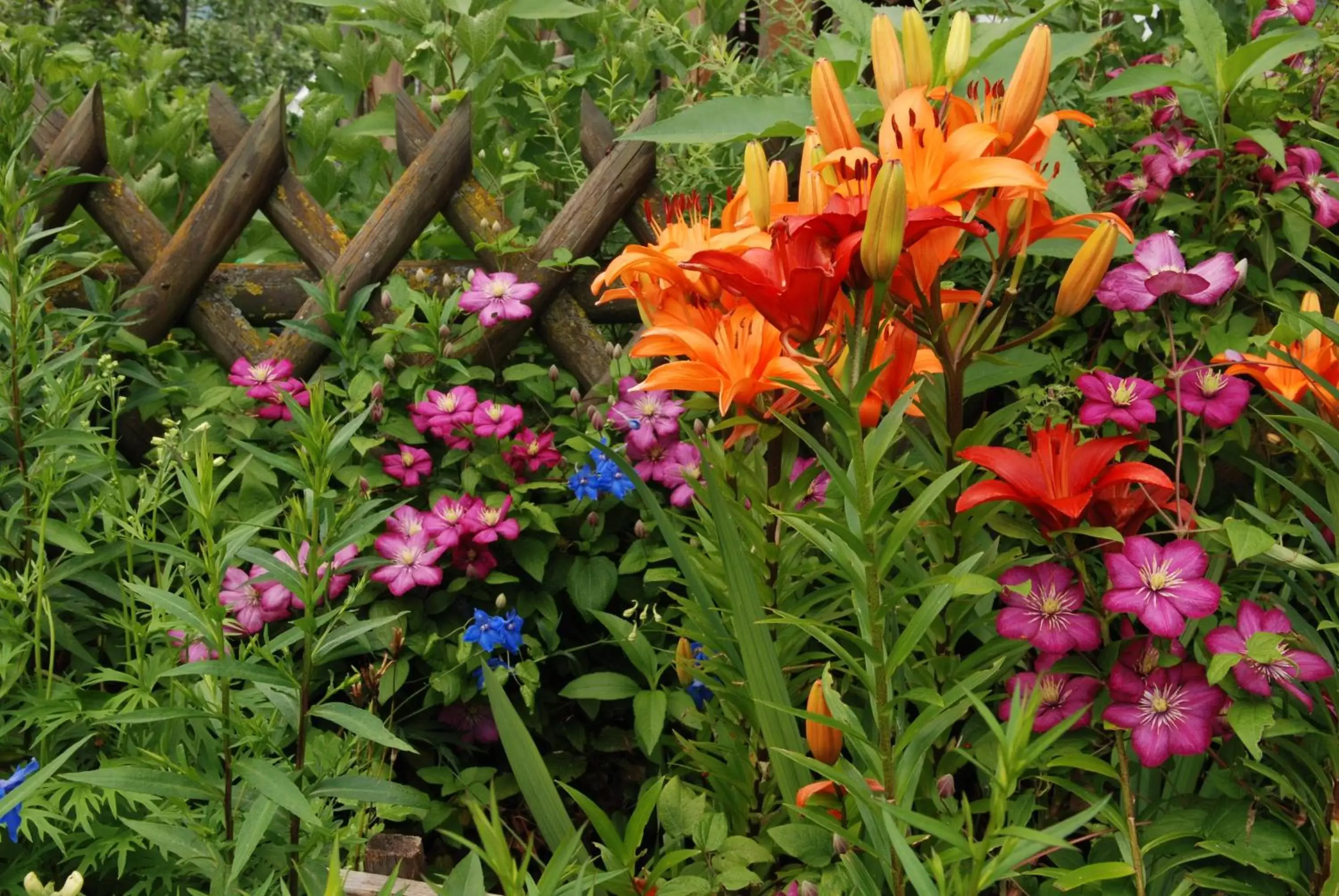 Garden in Residence Obermoarhof