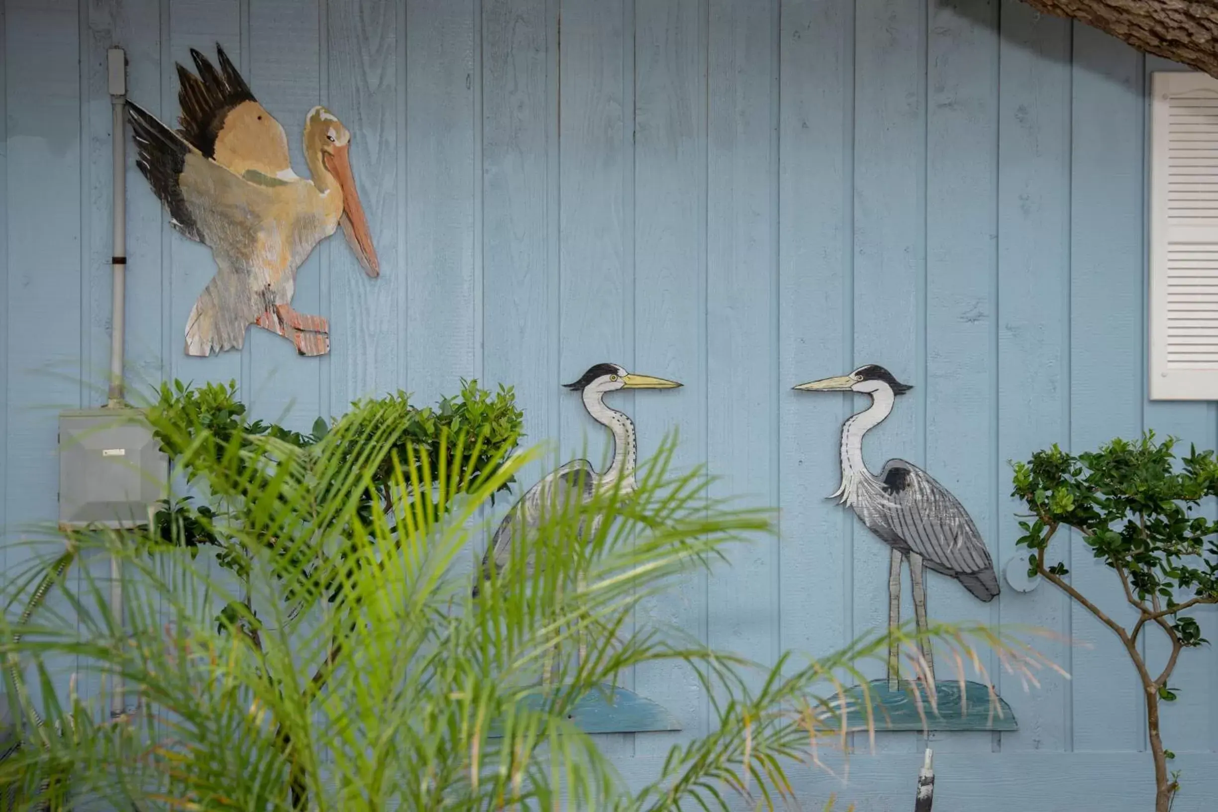 Decorative detail, Other Animals in D&R Pelican Bay Resort