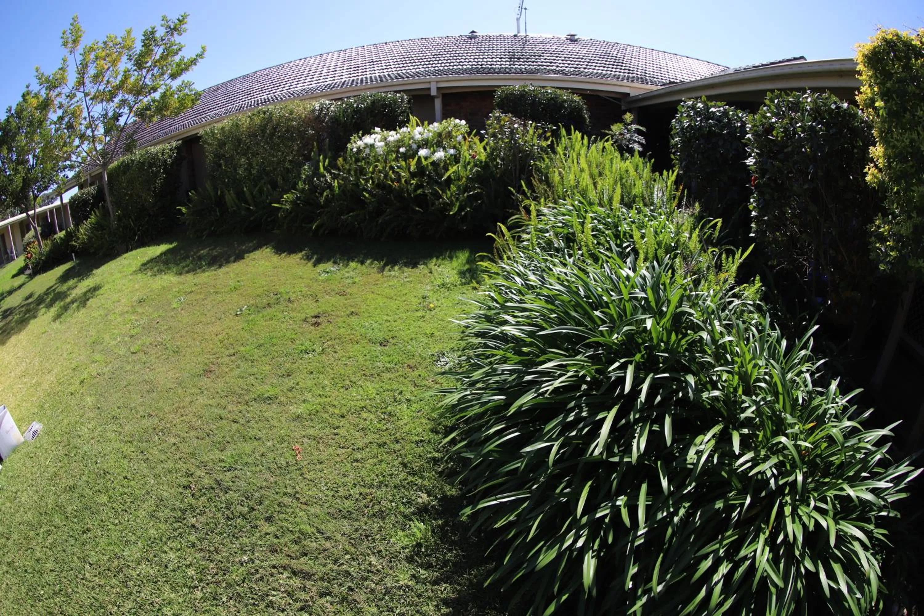 Garden view in Sleepy Hill Motor Inn