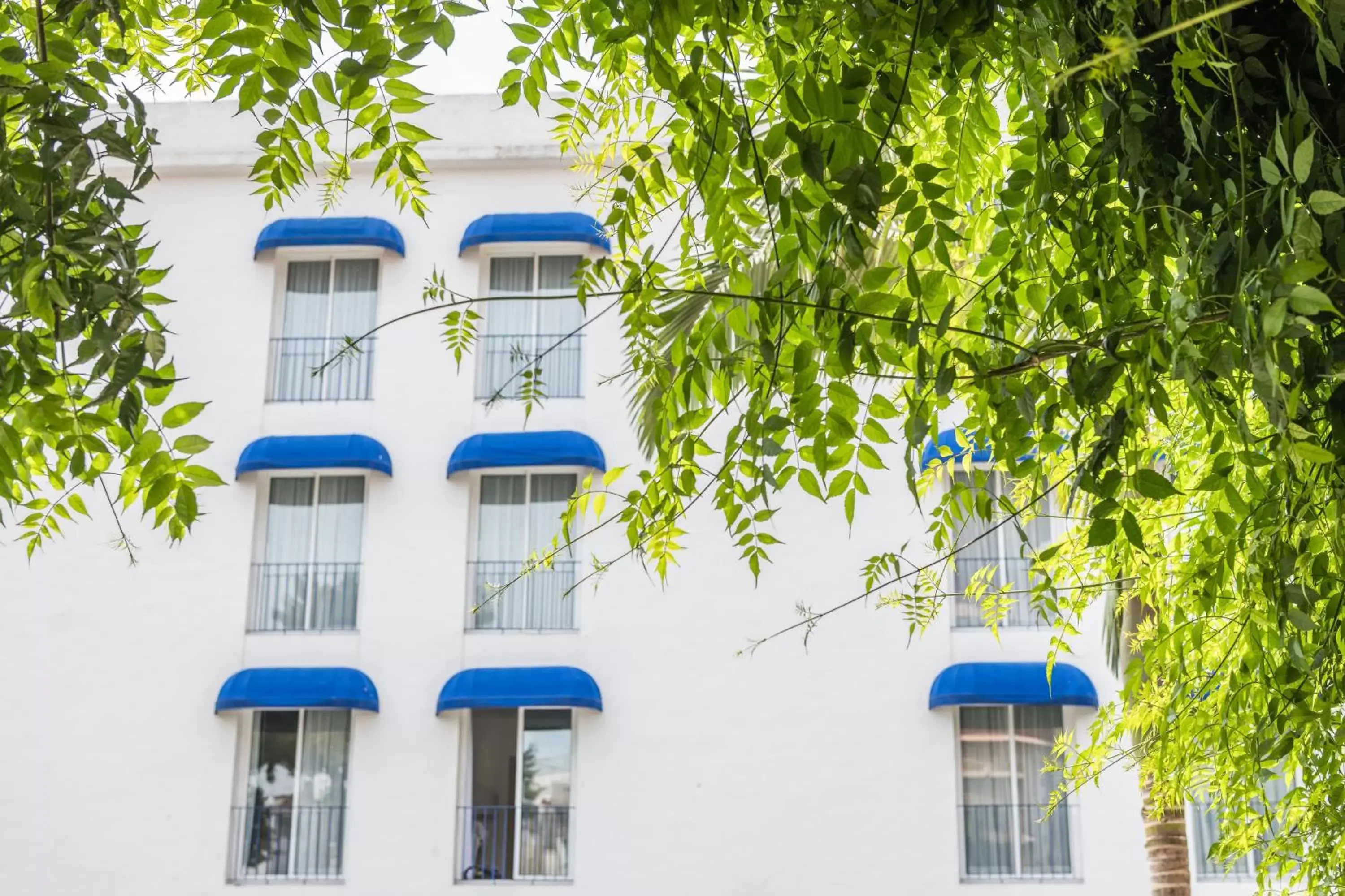 Facade/entrance, Property Building in Hotel Medium Sitges Park