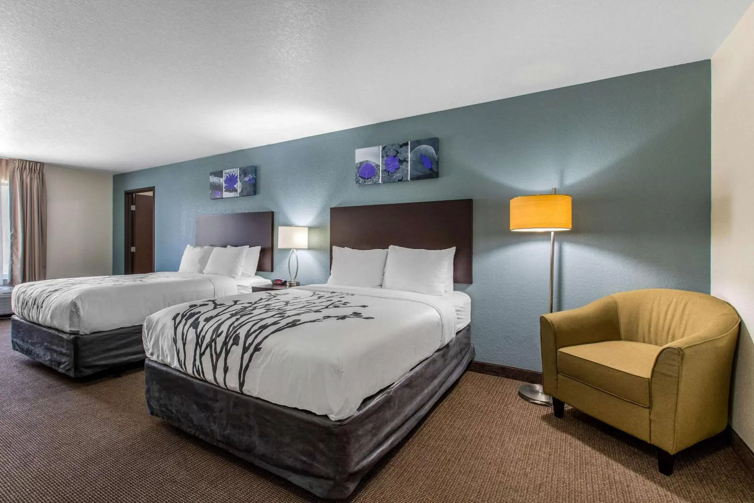 Photo of the whole room, Bed in Sleep Inn & Suites Ankeny - Des Moines