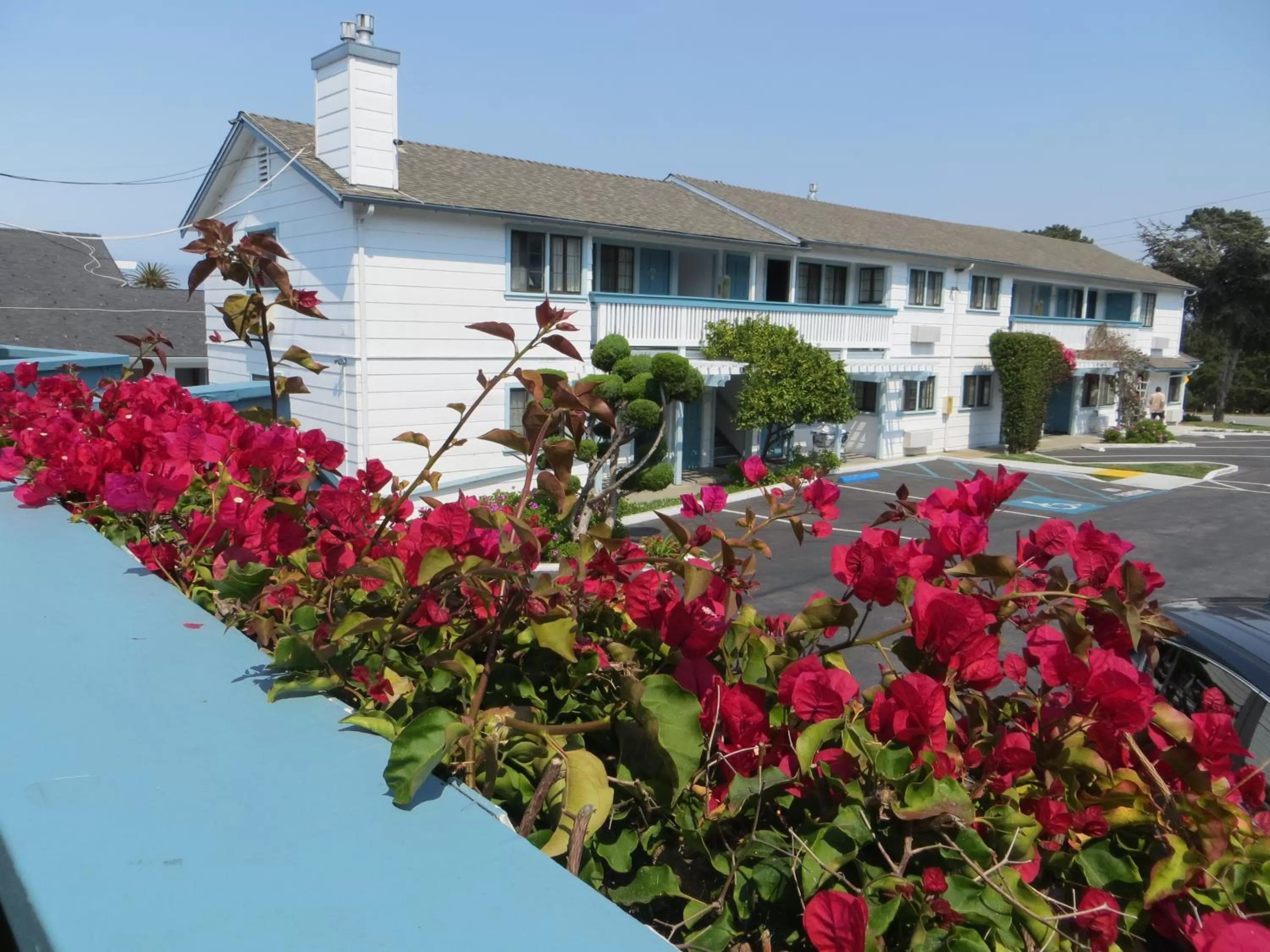 Property building in Arbor Inn Monterey