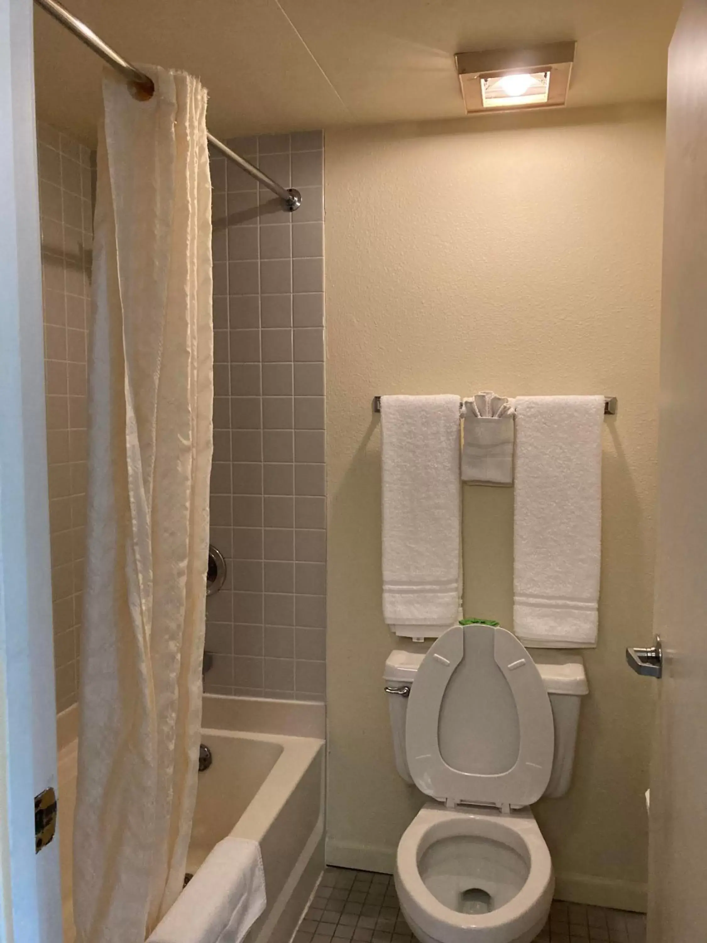 Shower, Bathroom in Americourt Hotel - Mountain City