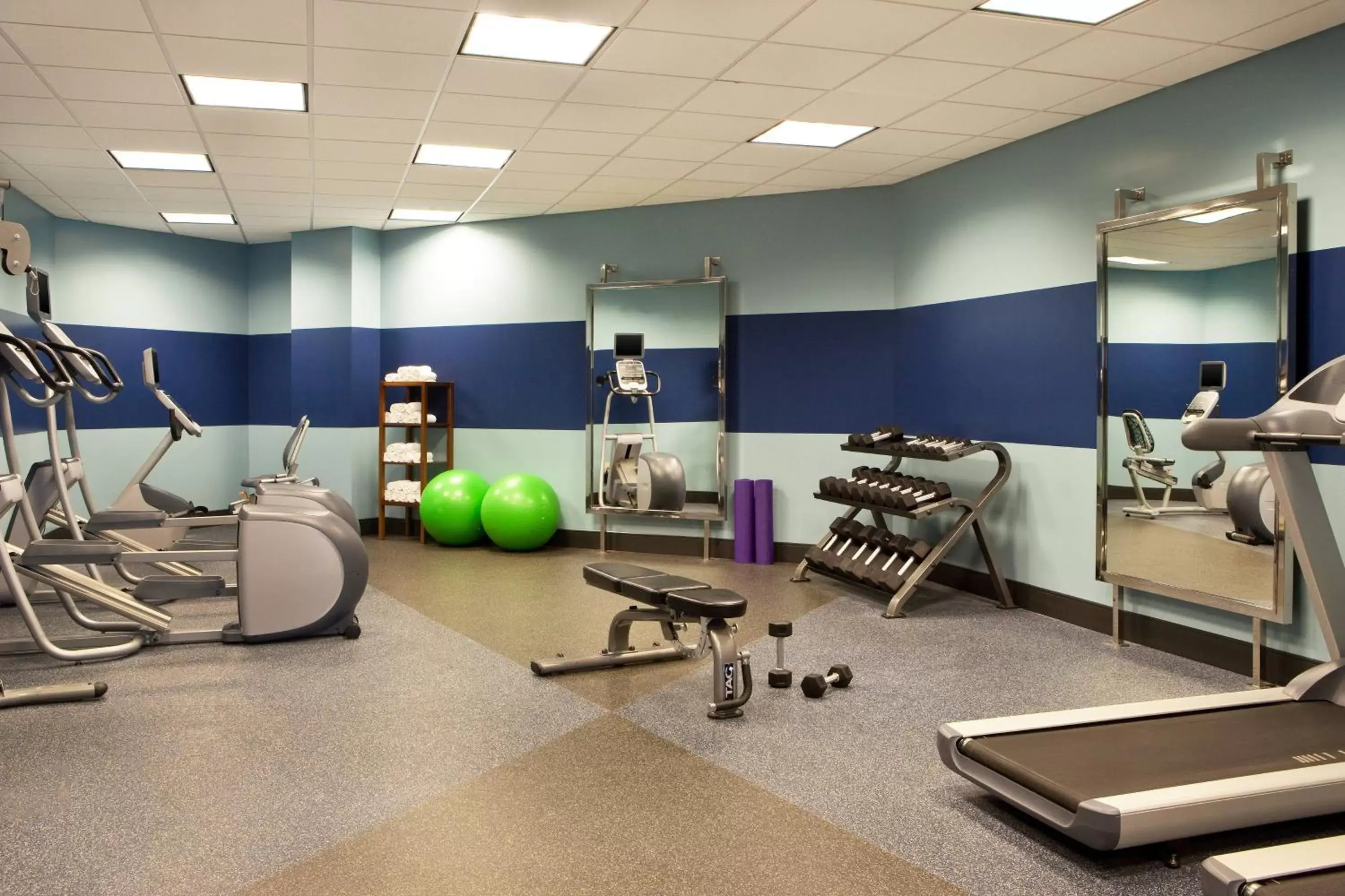 Fitness centre/facilities, Fitness Center/Facilities in Four Points By Sheraton - Saginaw