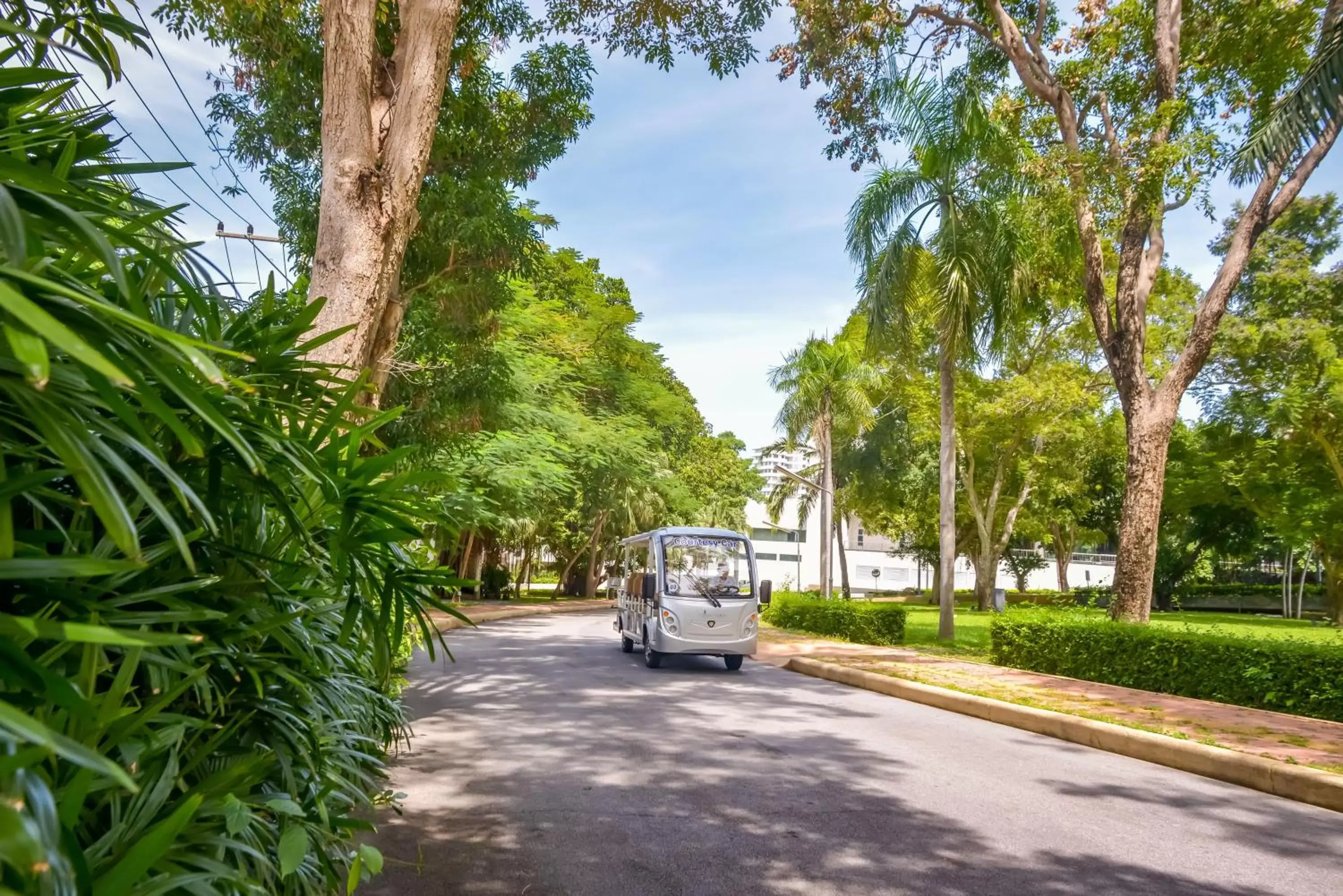 Area and facilities in Royal Cliff Beach Hotel Pattaya