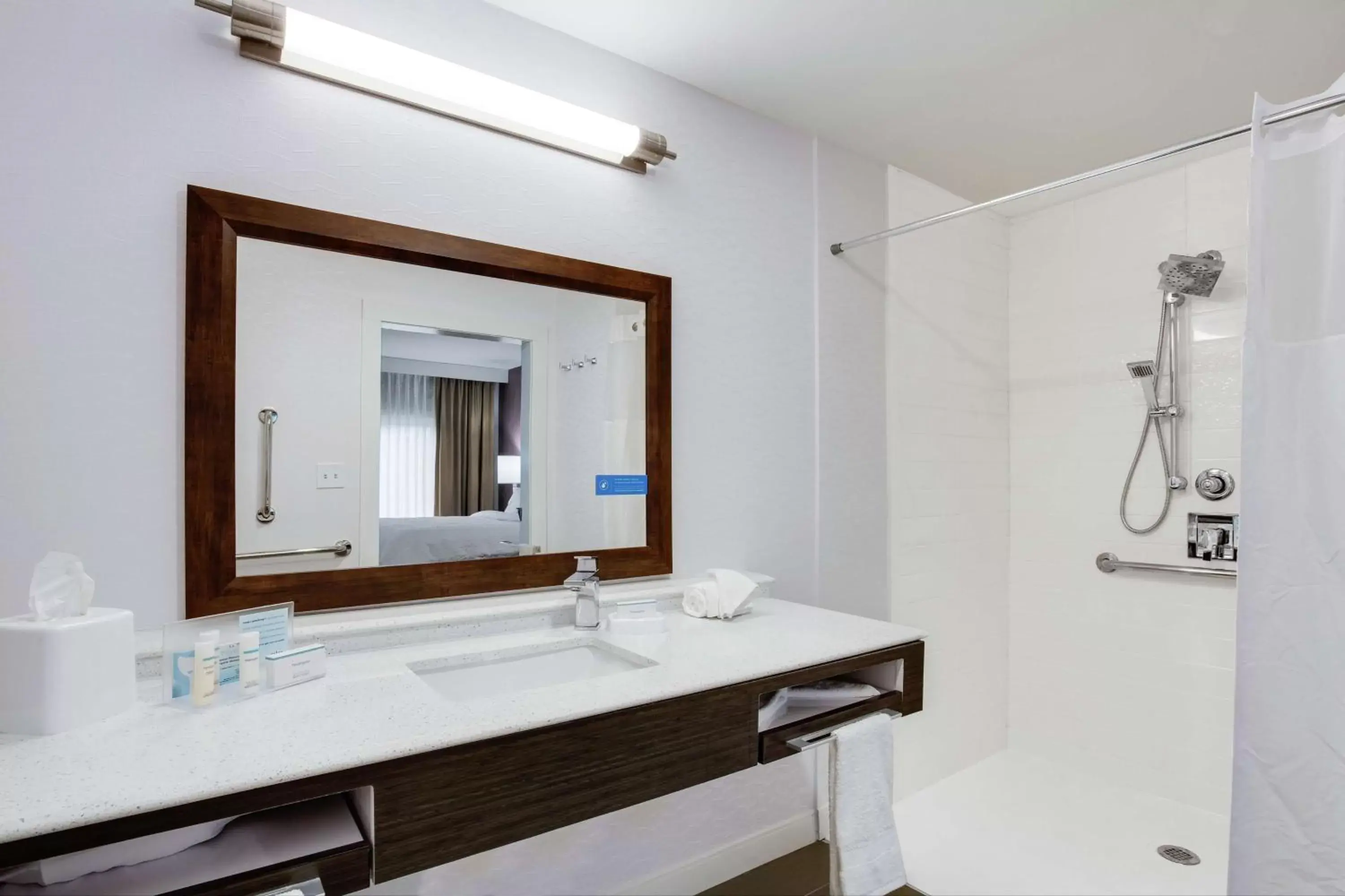 Bathroom in Hampton Inn and Suites Jacksonville/Orange Park, FL