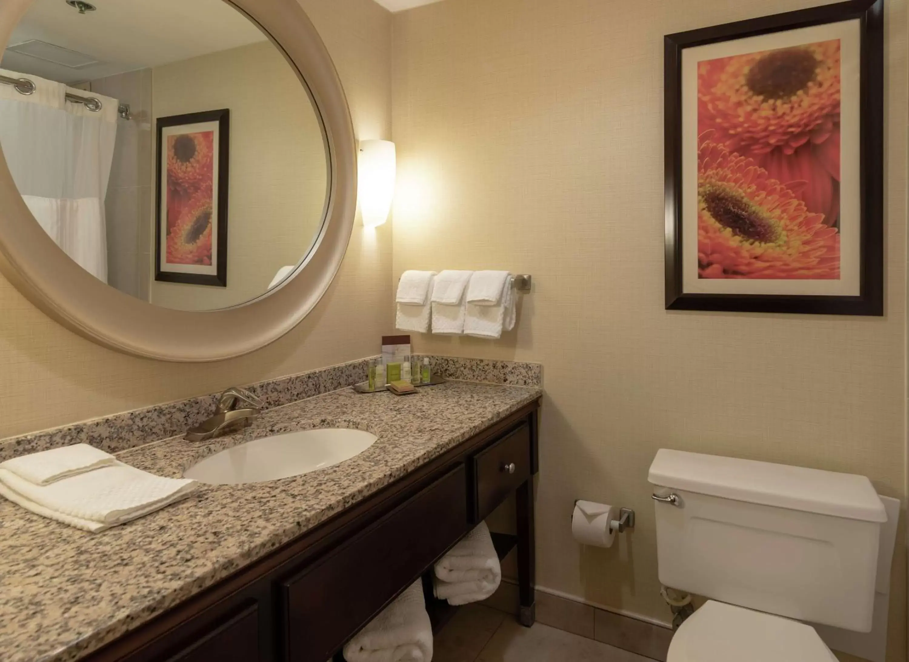 Bathroom in DoubleTree by Hilton Norfolk Airport