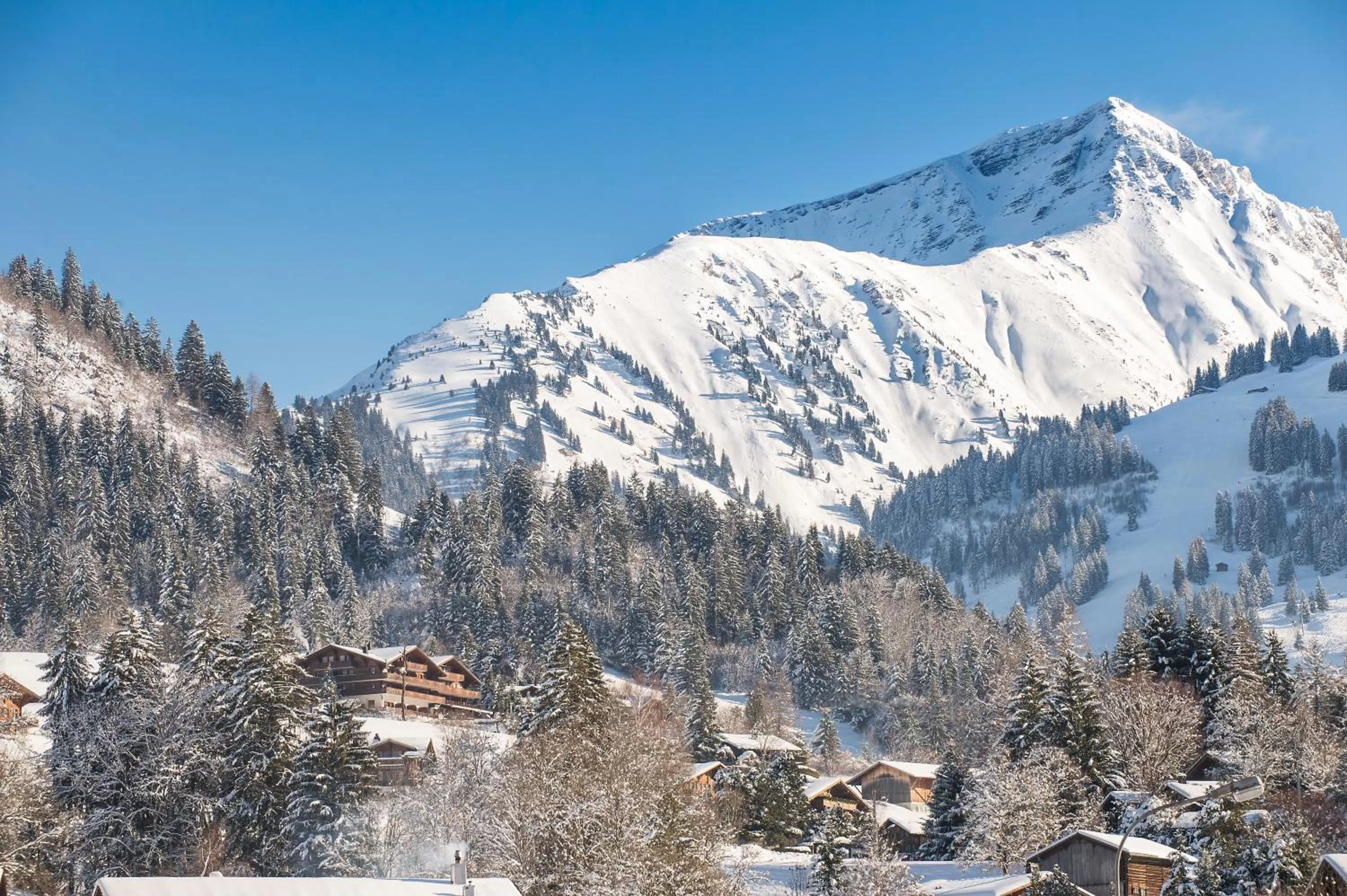 Mountain view in Hotel Le Grand Chalet Gstaad