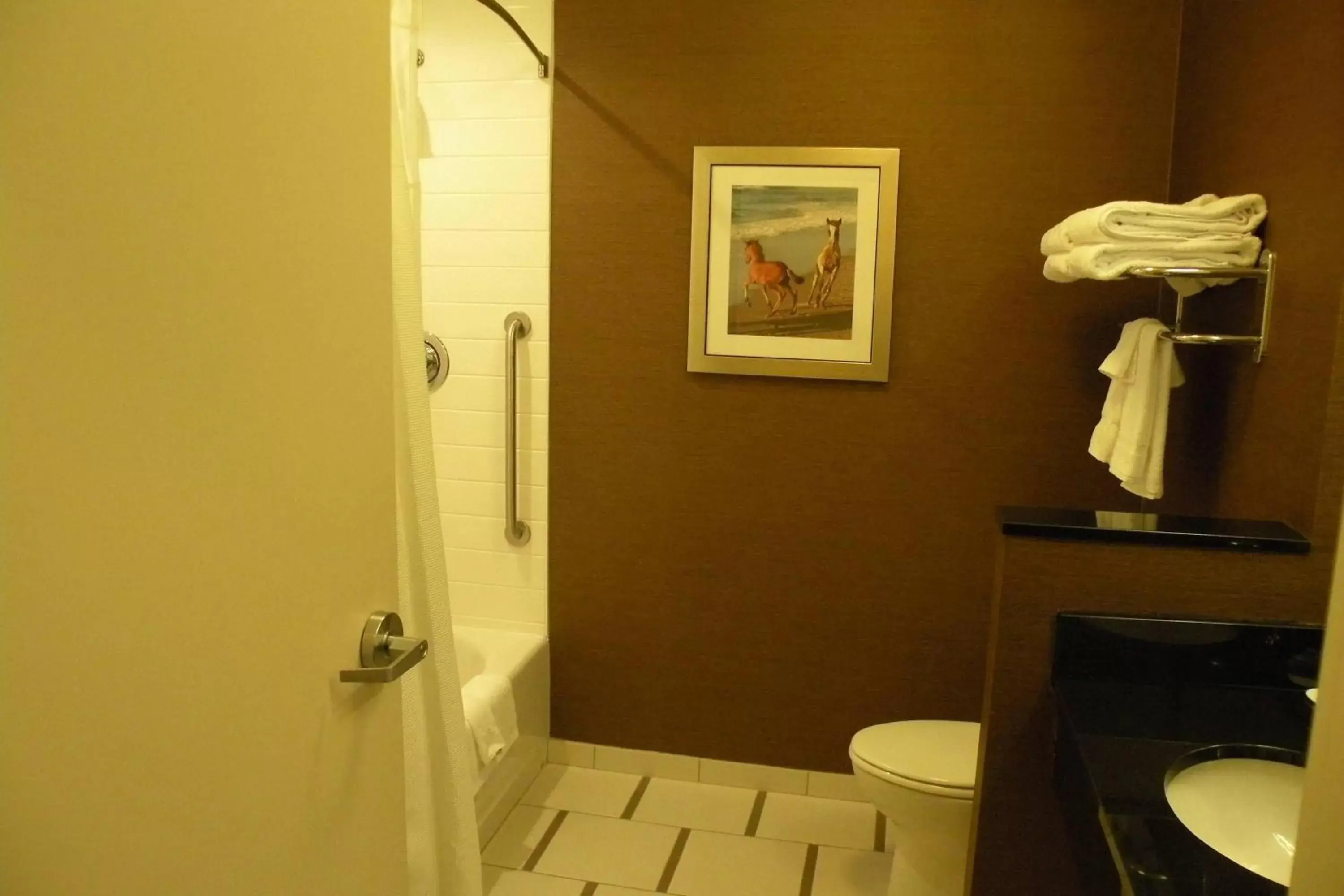 Bathroom in Fairfield Inn & Suites by Marriott Chincoteague Island Waterfront