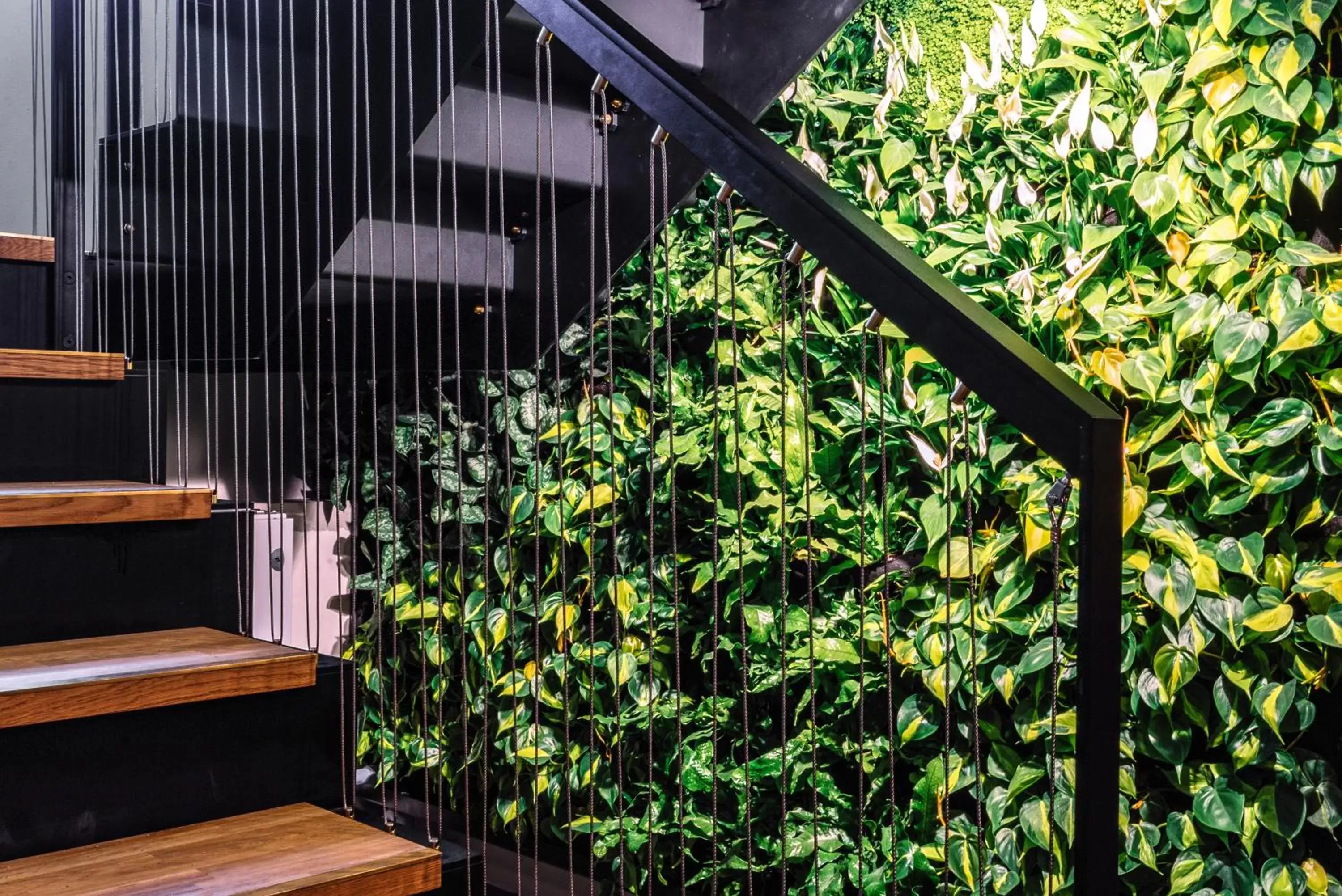 Breakfast in Copenhagen Go Hotel Breakfast in Copenhagen Go Hotel