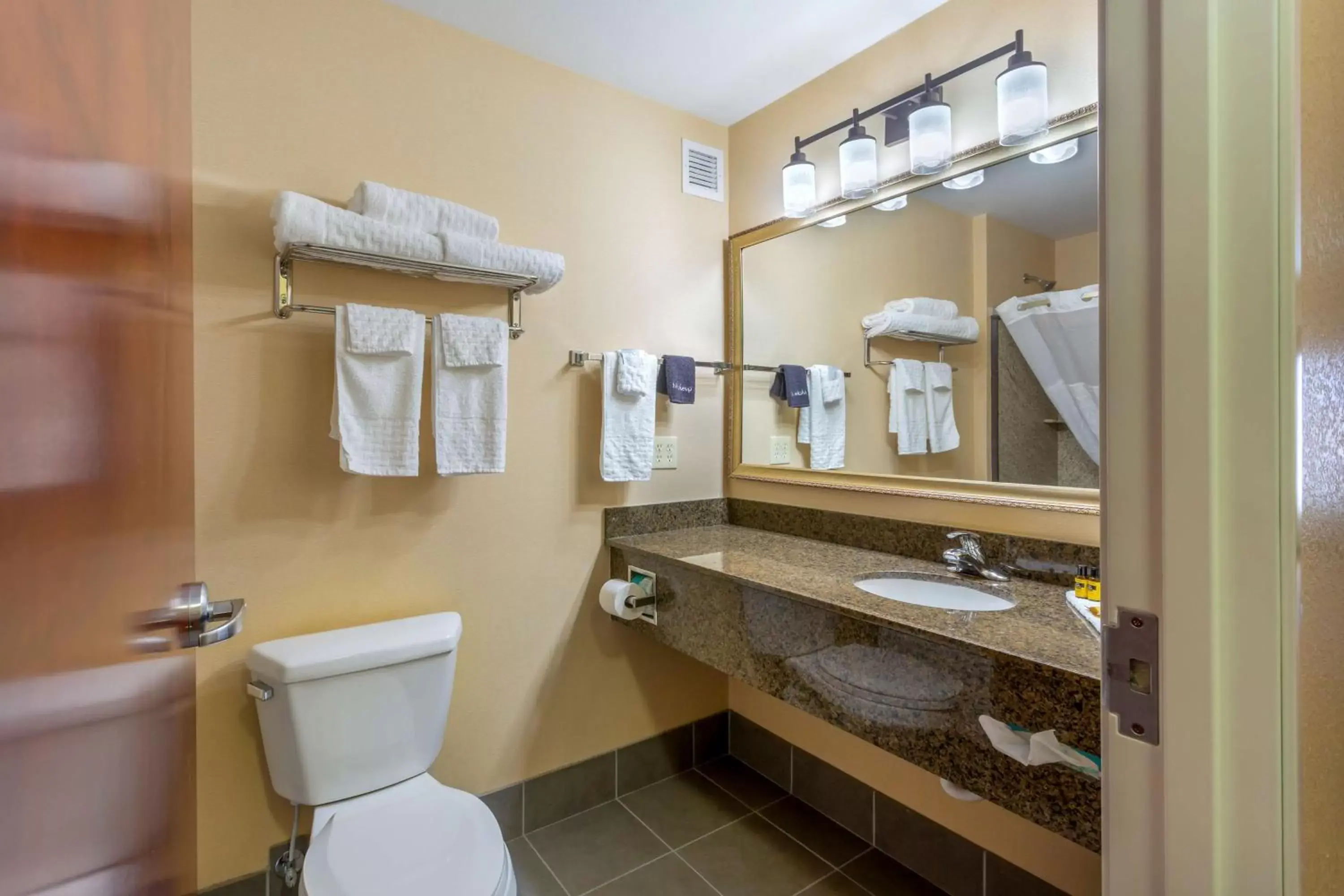 Bathroom in Best Western PLUS Fossil Country Inn & Suites