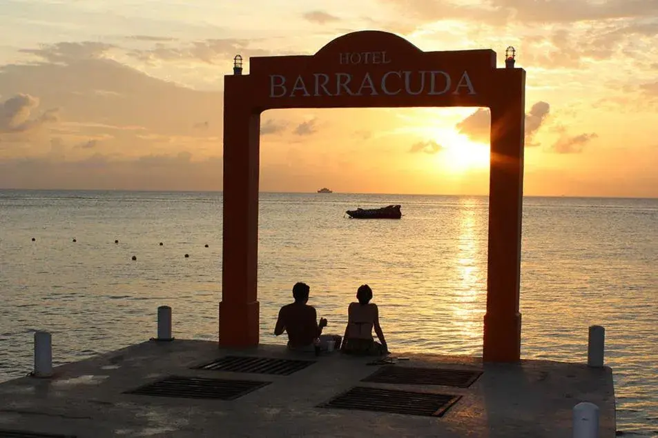 Hotel Barracuda