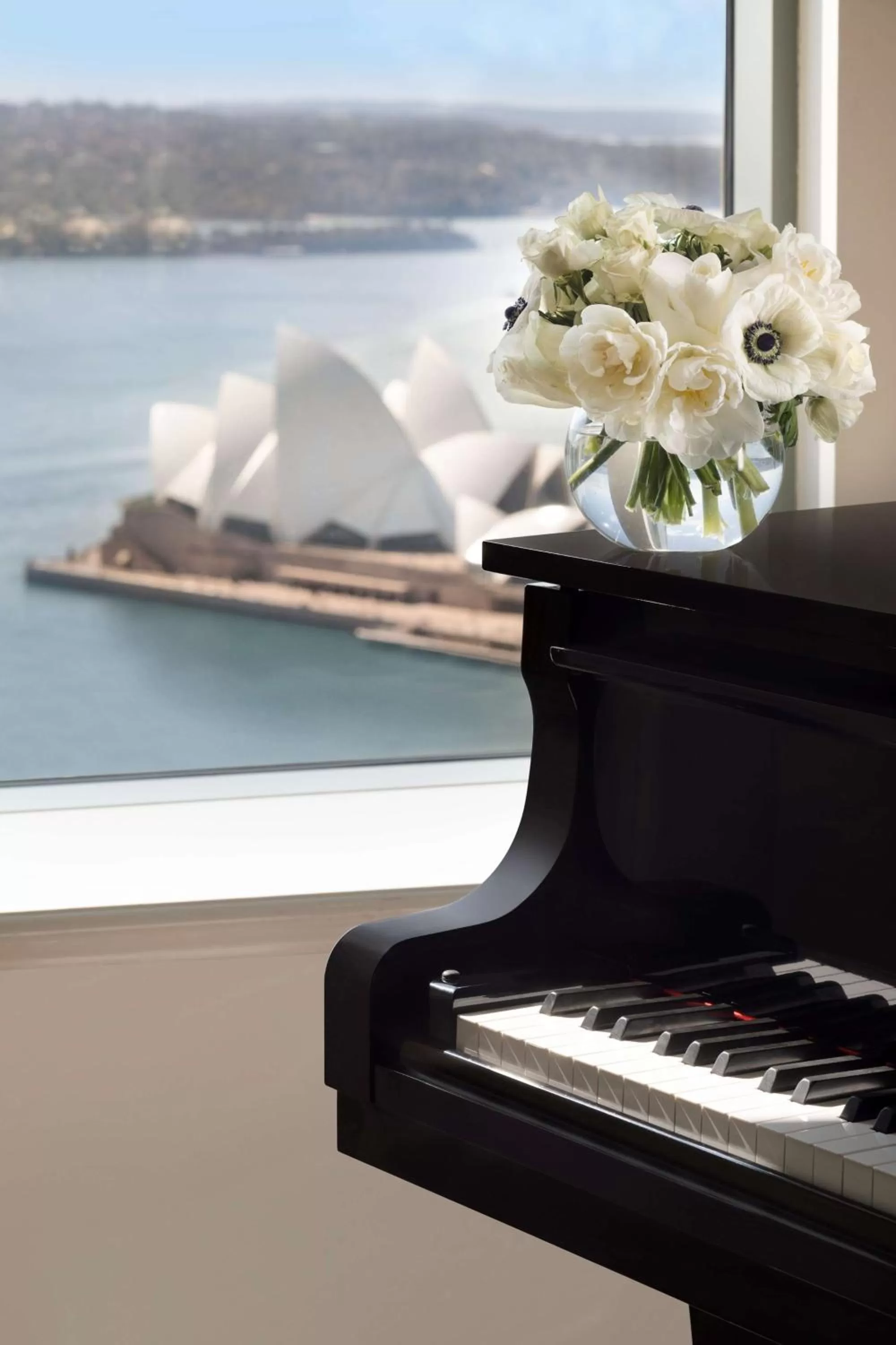 Photo of the whole room in Shangri-La Sydney