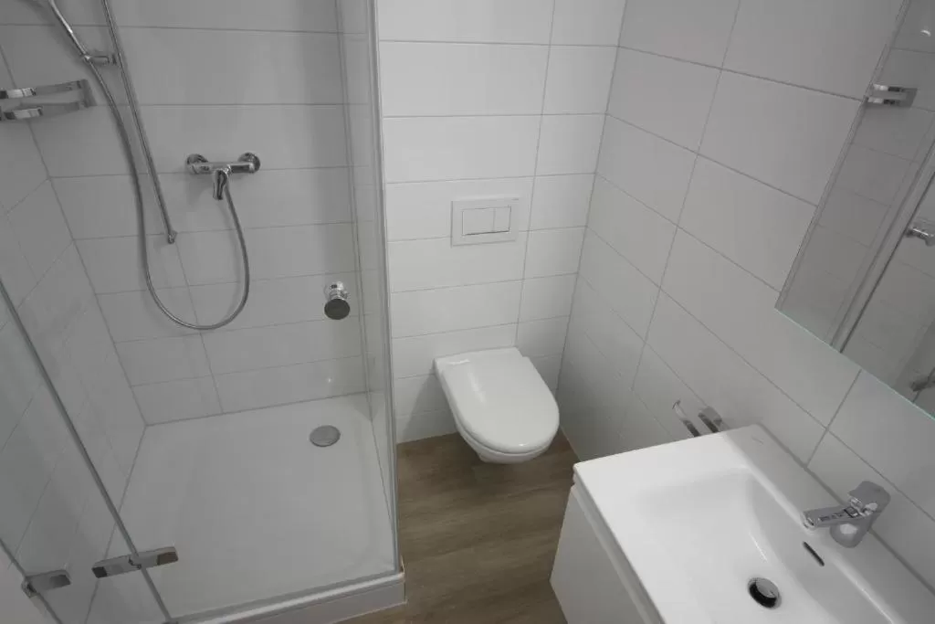 Bathroom in Swiss Star Home