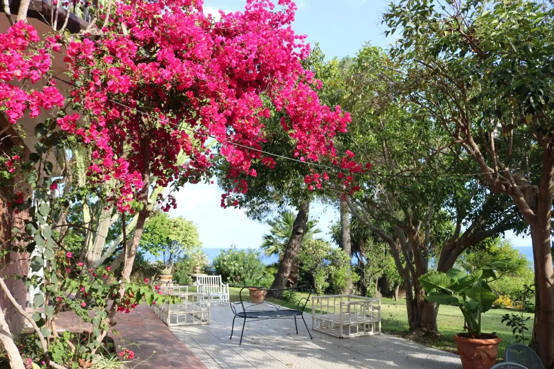 Garden in Villa delle Palme