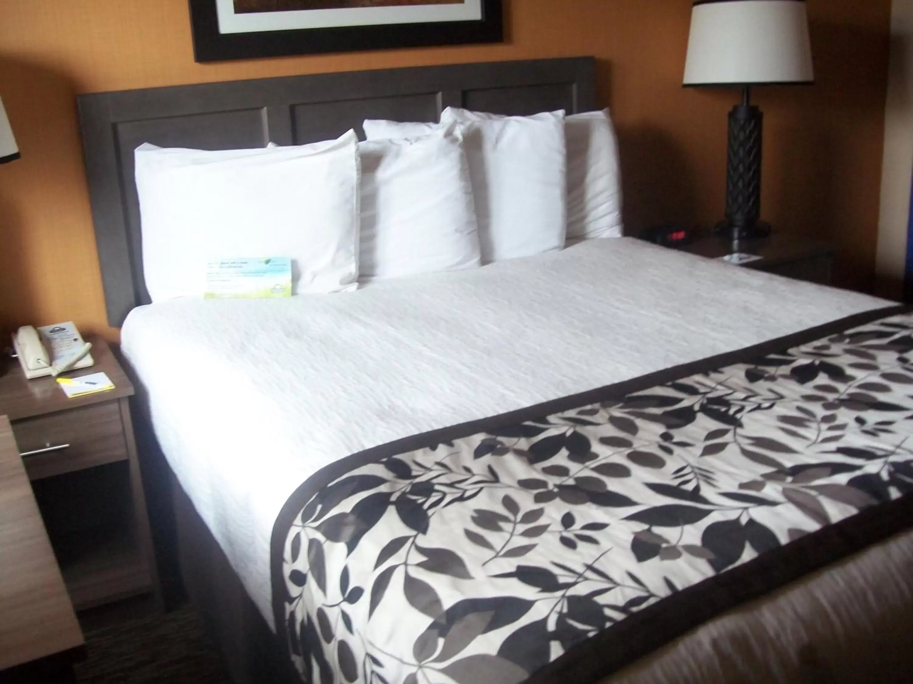 One-Bedroom Queen Suite with Two Queen Beds - Non-Smoking in Days Inn & Suites by Wyndham Bozeman