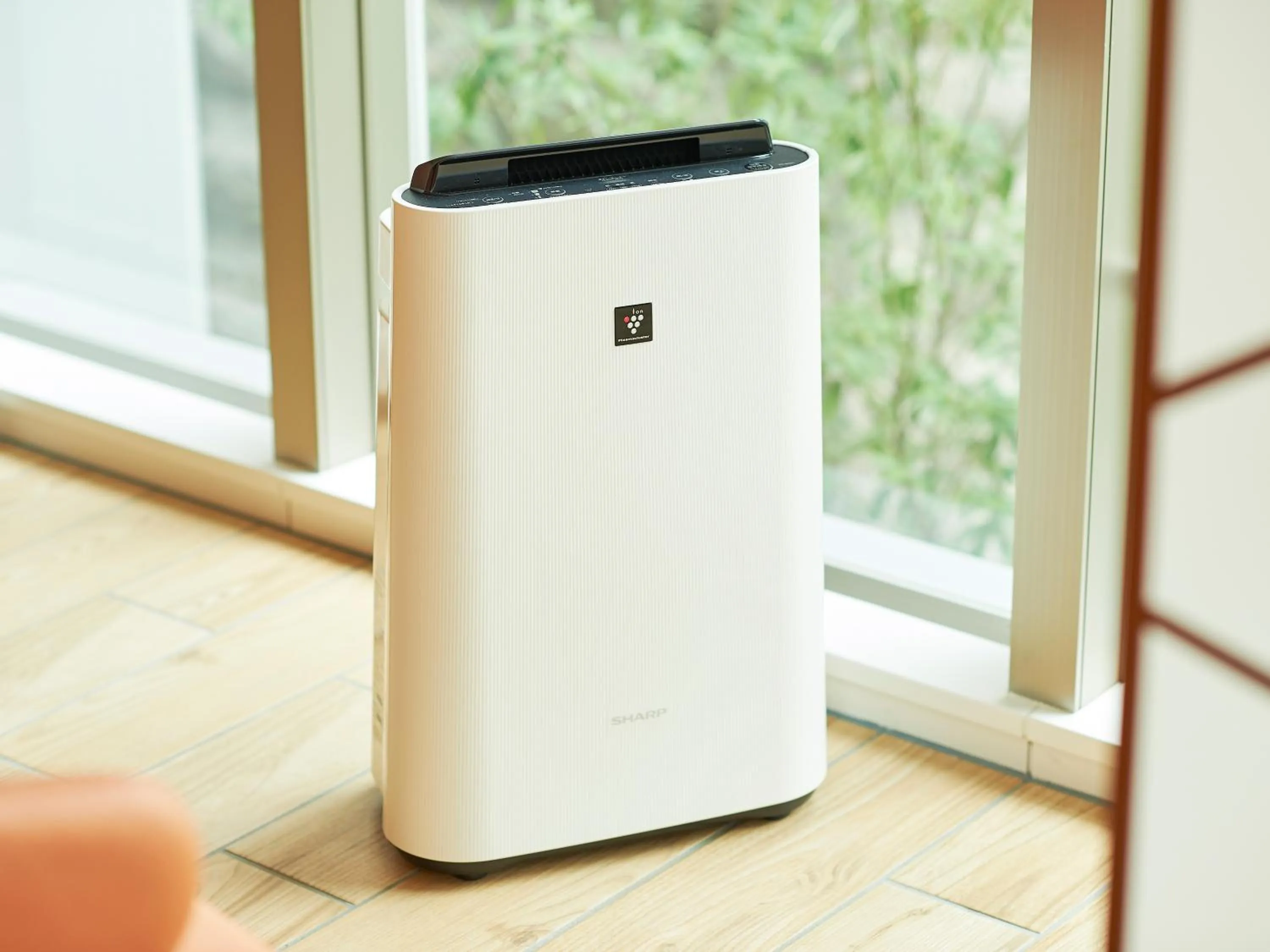 Photo of the whole room in Sotetsu Fresa Inn Nihombashi-Ningyocho