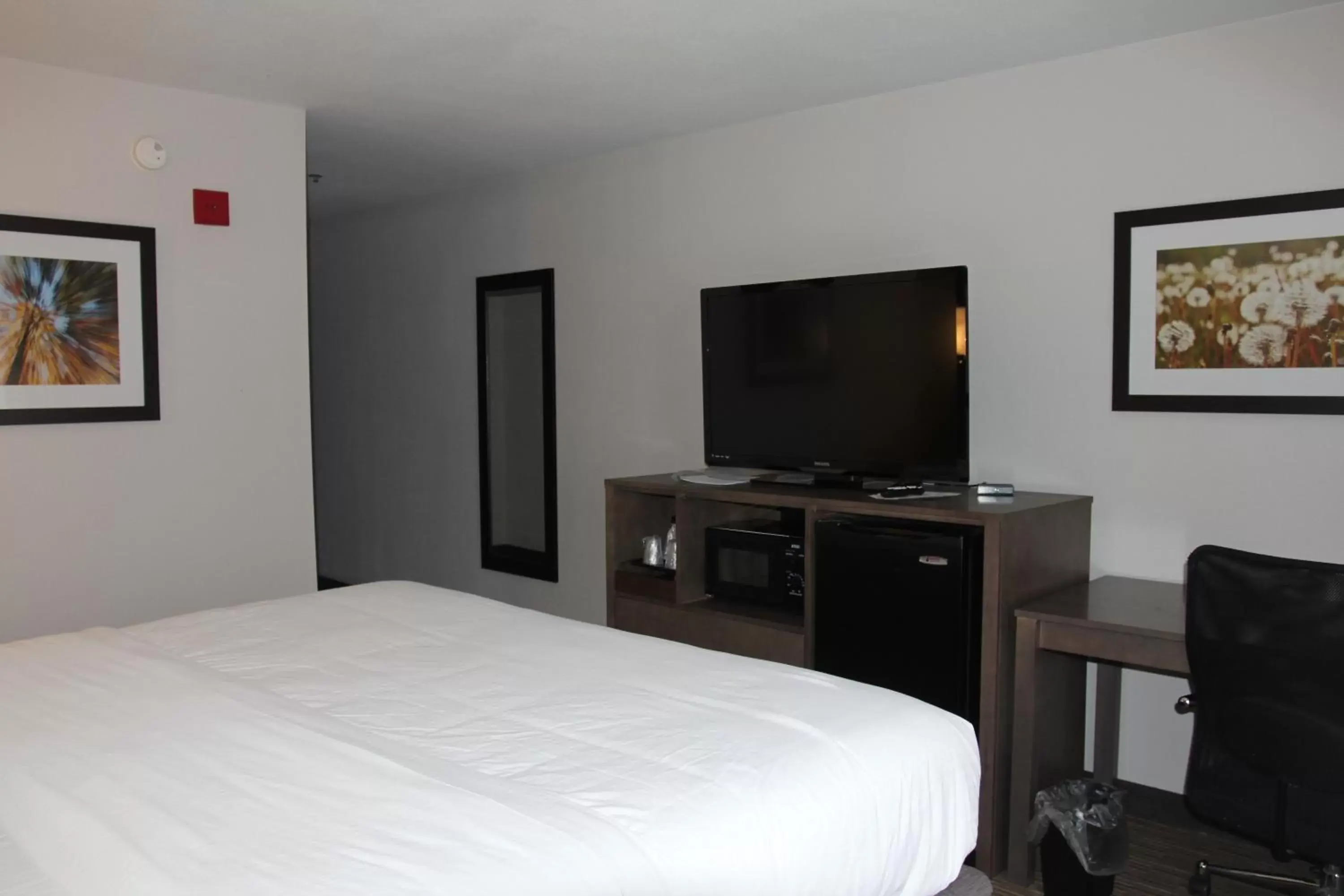 TV and multimedia, Bed in Holiday Inn Express & Suites Sweetwater, an IHG Hotel