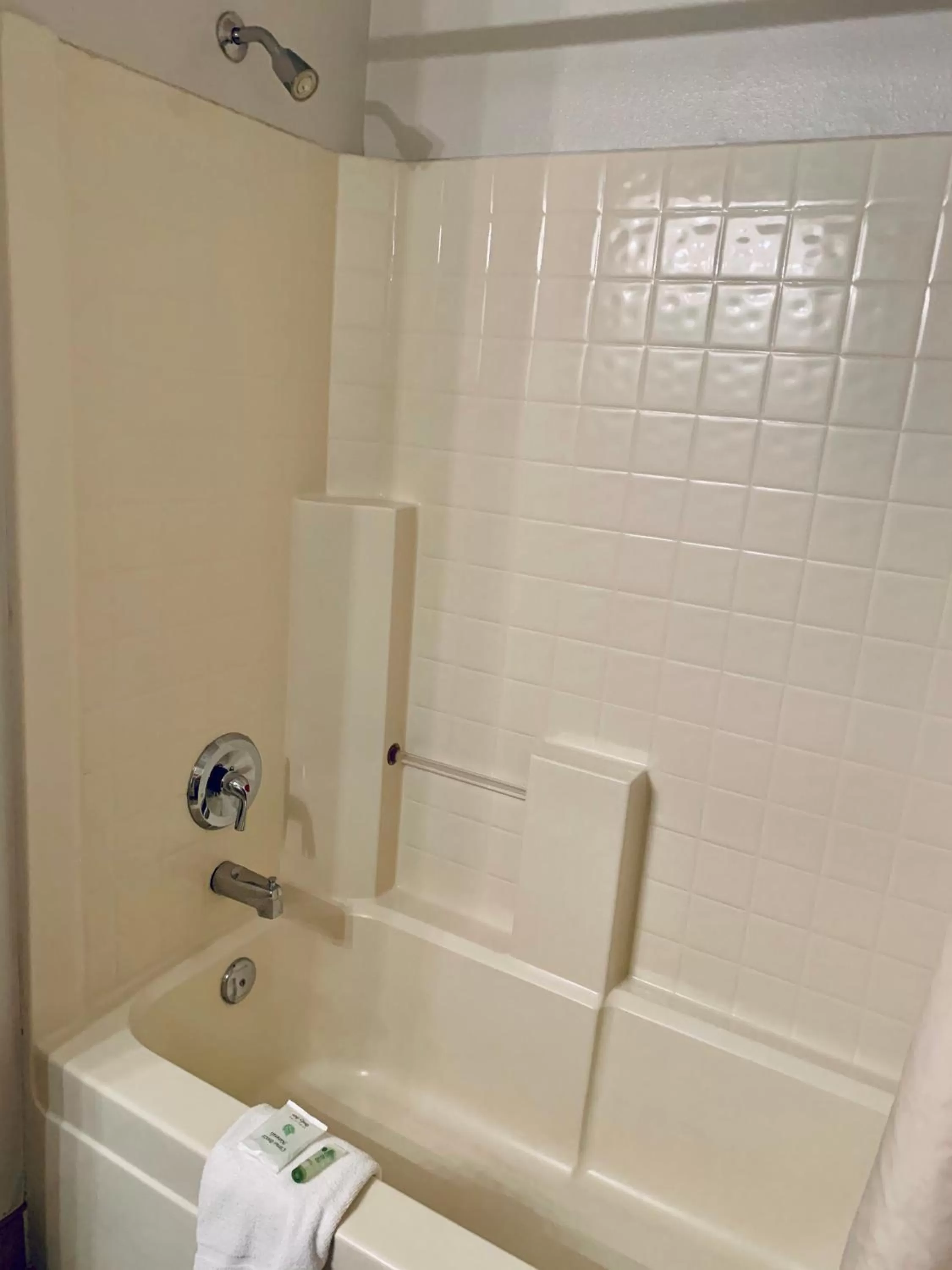 Shower in St. George Inn and Suites