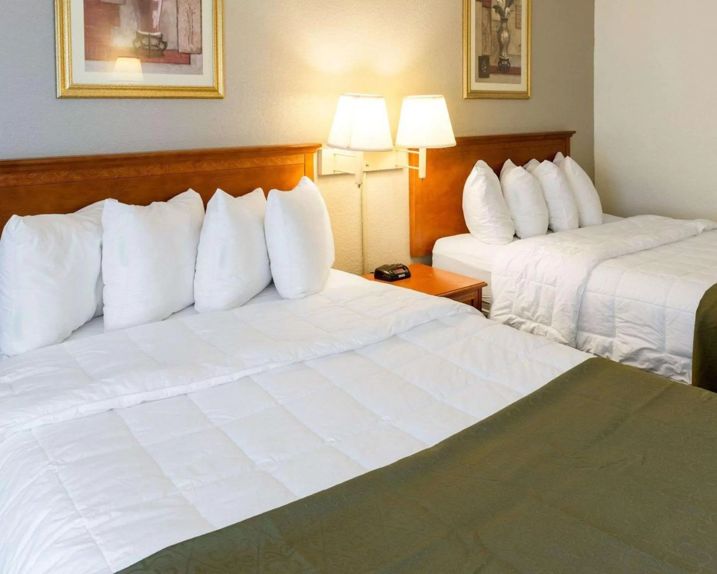 Photo of the whole room, Bed in Quality Inn Savage - Bloomington West Photo of the whole room, Bed in Quality Inn Savage - Bloomington West