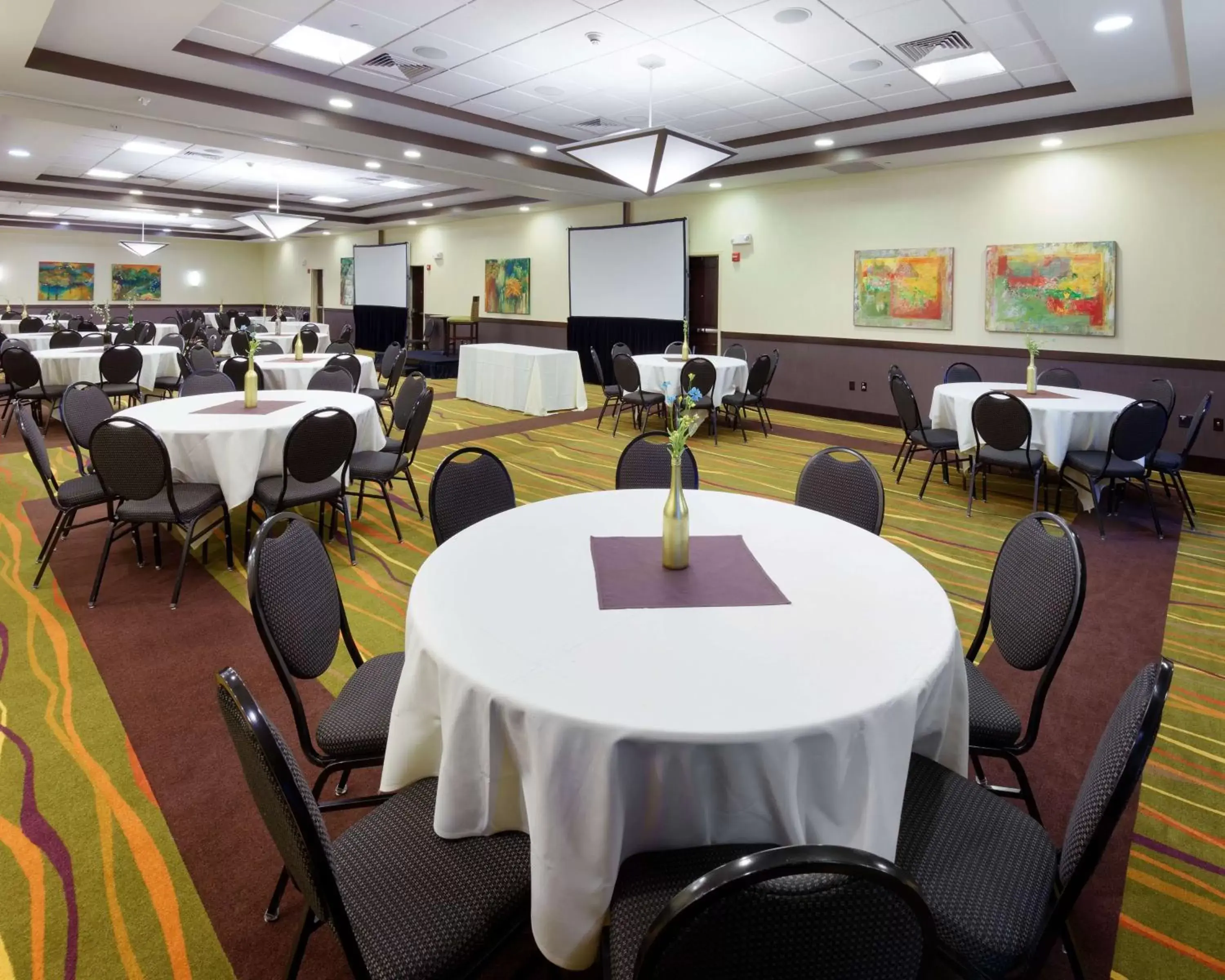 Meeting/conference room in Hilton Garden Inn Springfield, MO