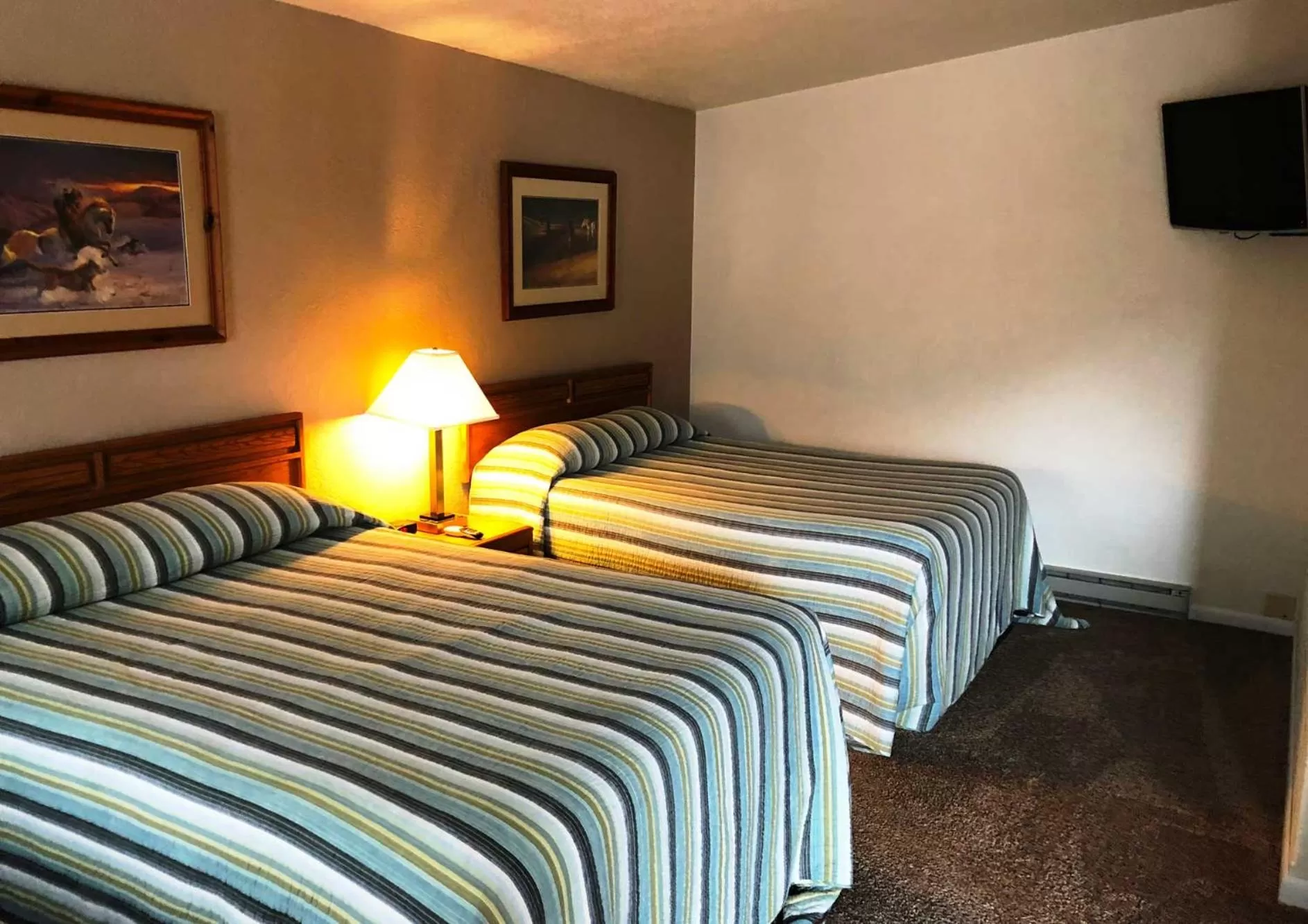 Photo of the whole room, Bed in Bristlecone Motel