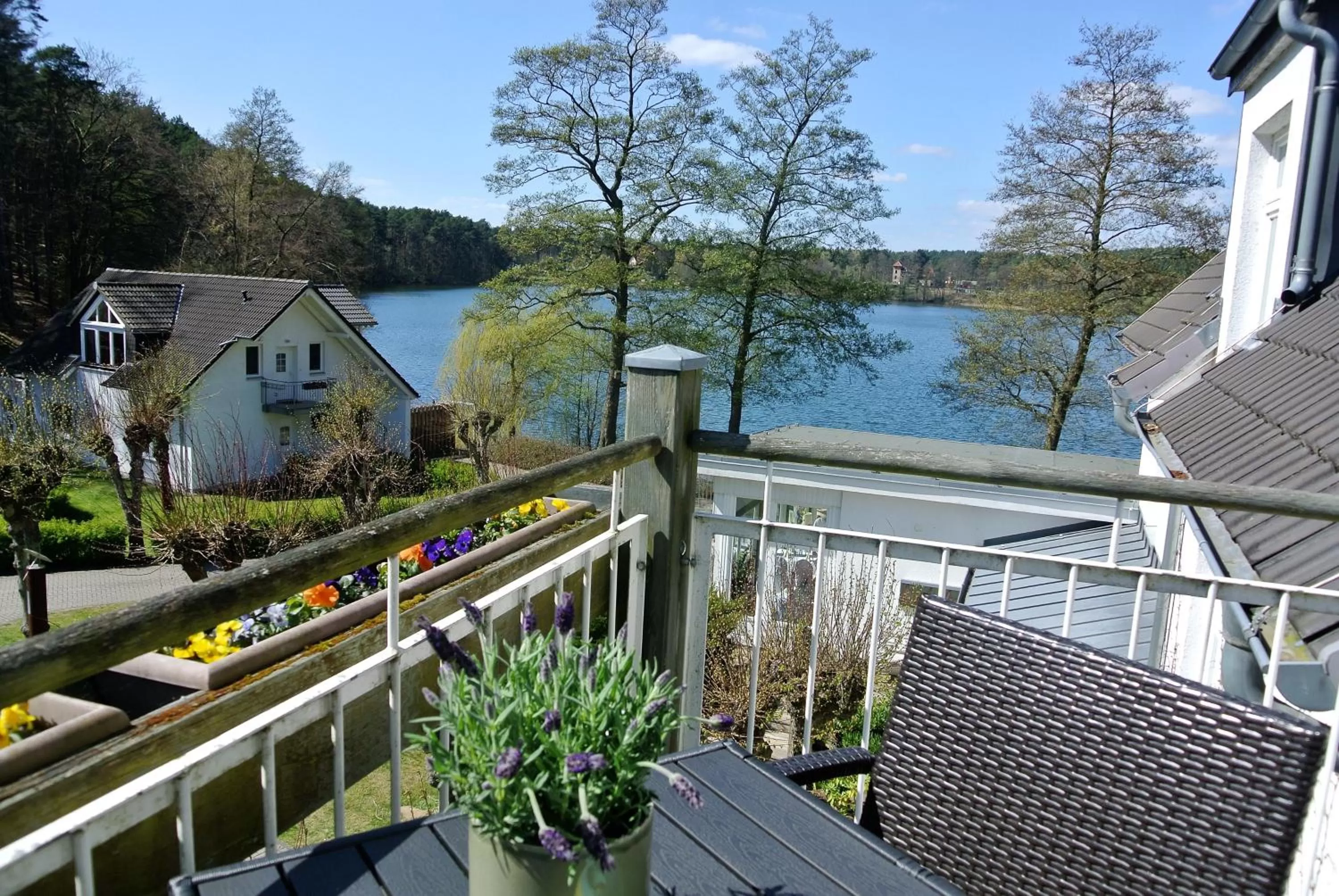 Photo of the whole room in Seehotel Lindenhof
