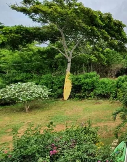 Garden in Casa Royal Palm Inn