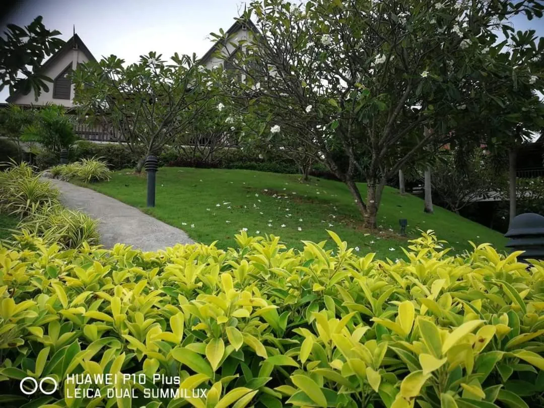 Garden in Baan KanTiang See Villas - SHA Extra Plus