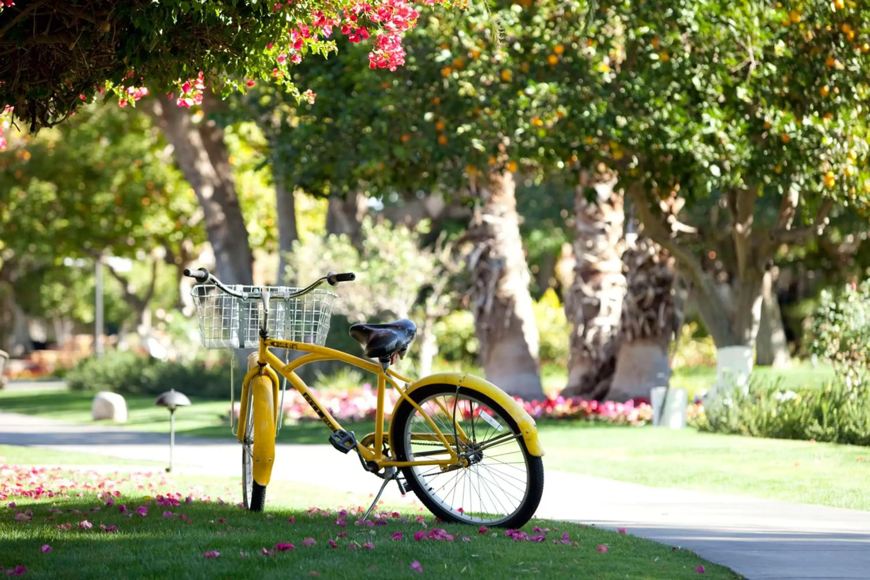 Property building, Garden in La Quinta Resort & Club, Curio Collection