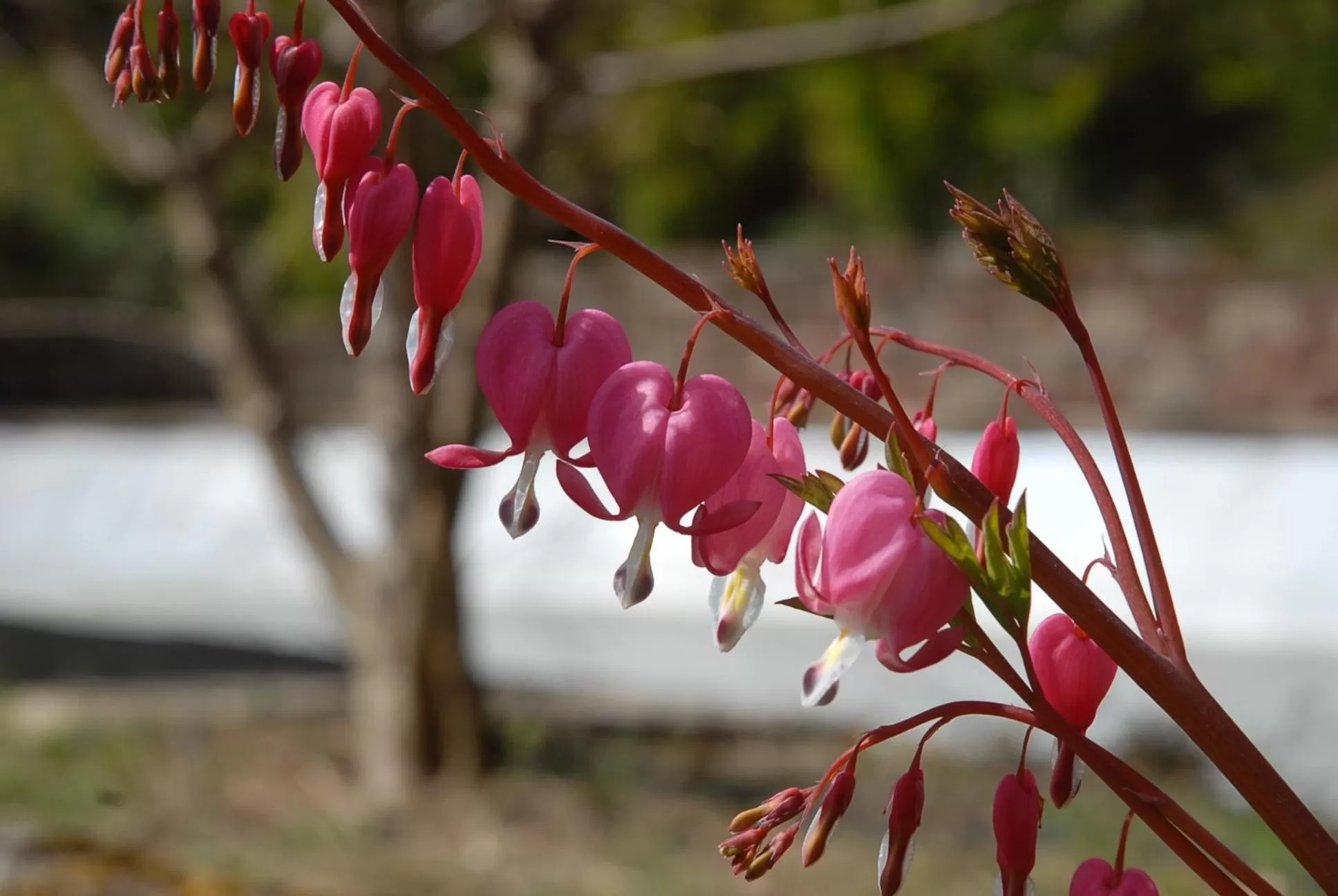 Day in Villa Thalassa domaineleshesperides