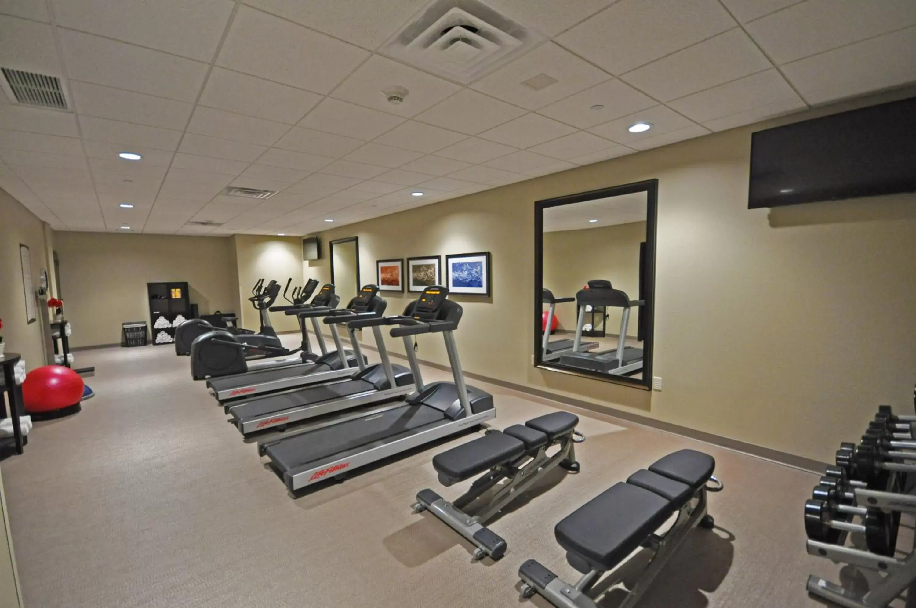 Fitness centre/facilities in Staybridge Suites Eau Claire - Altoona by IHG Fitness centre/facilities in Staybridge Suites Eau Claire - Altoona by IHG
