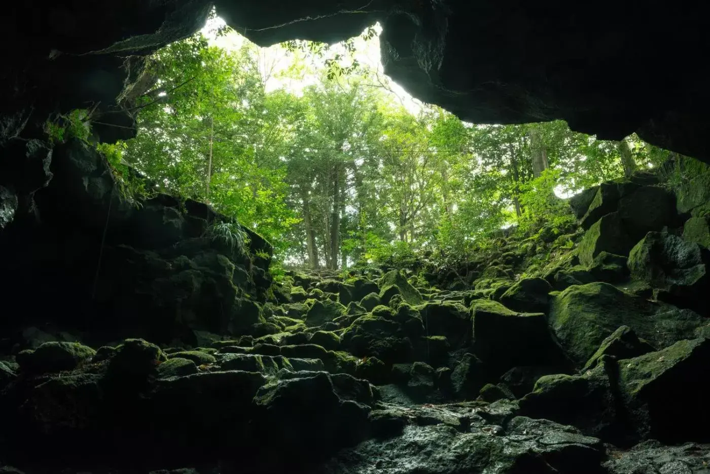 Nearby landmark, Natural Landscape in Royal Hotel Kawaguchiko