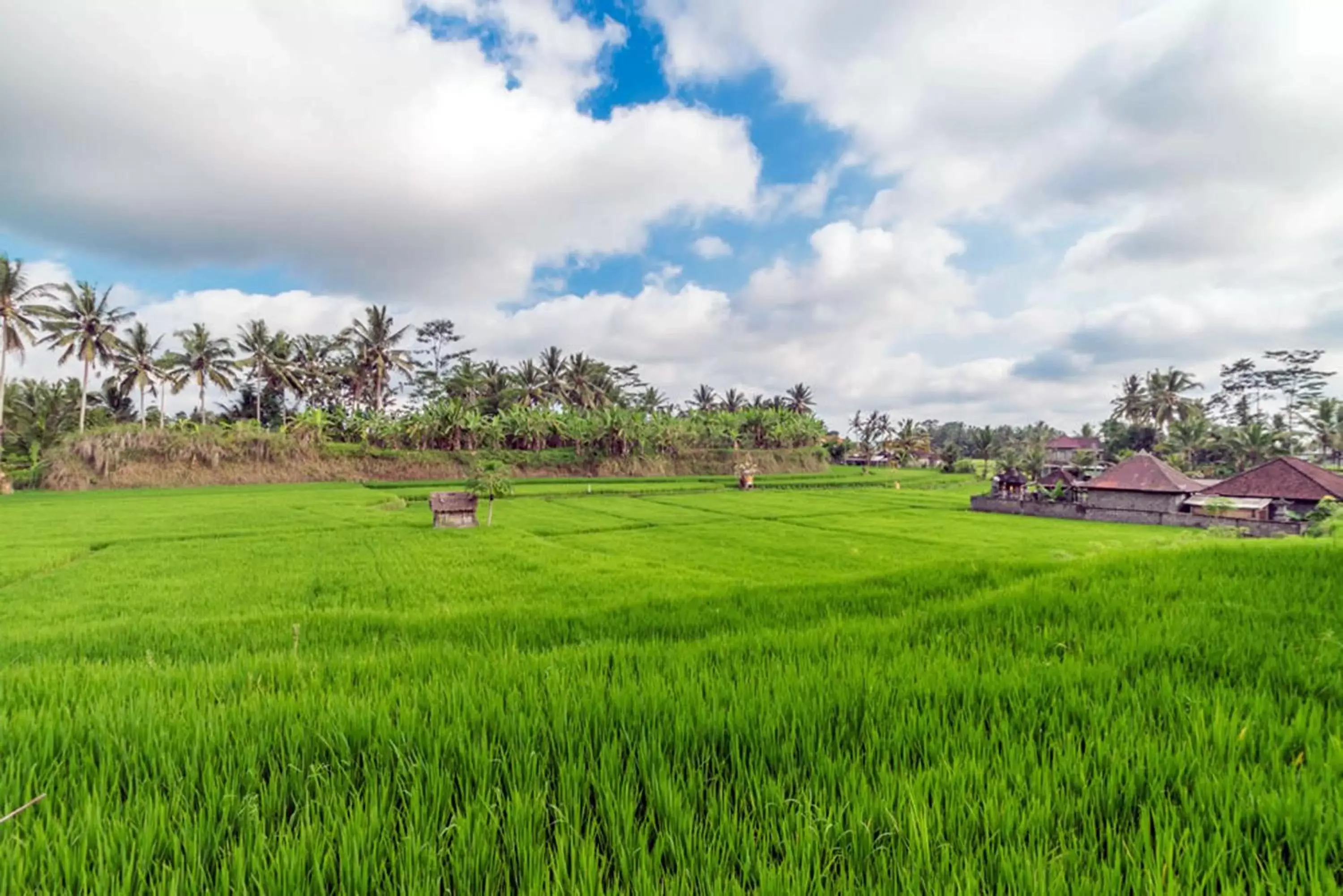 Natural landscape in Om Ham Retreat and Resort