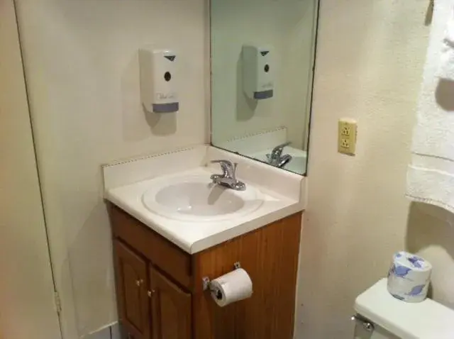 Bathroom in Econo Lodge Inn & Suites